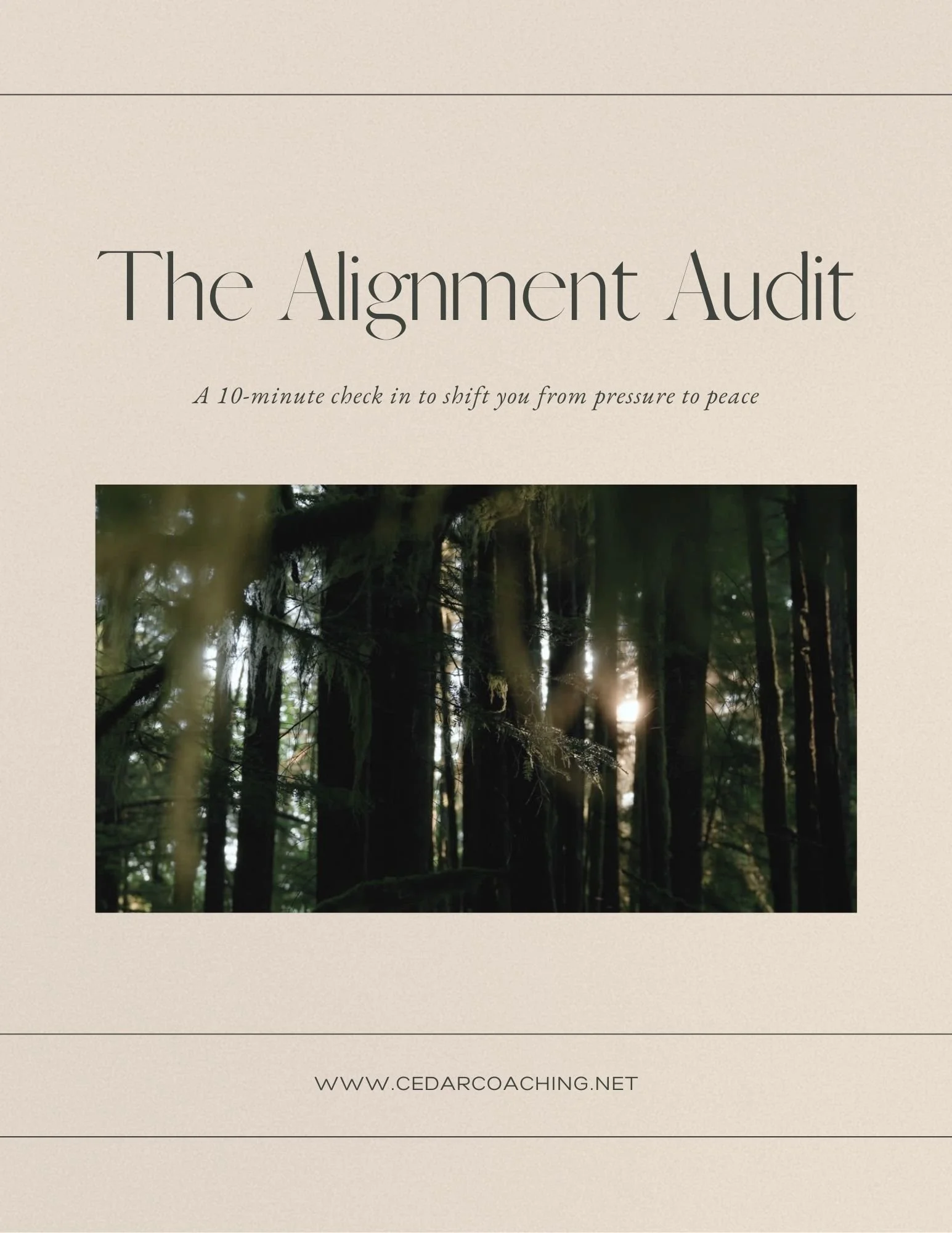 The Alignment Audit