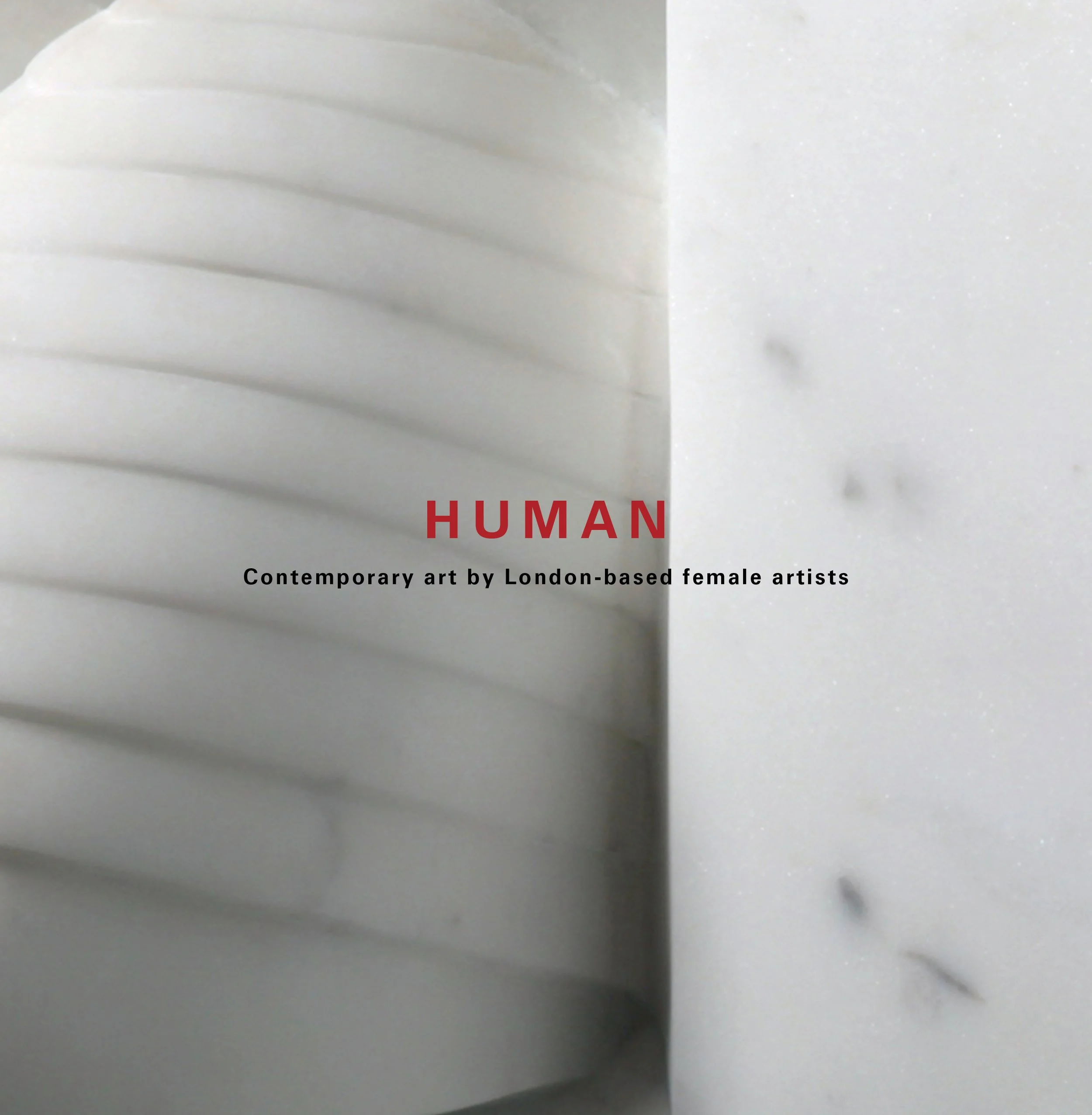 Exhibition &amp; Text: Human