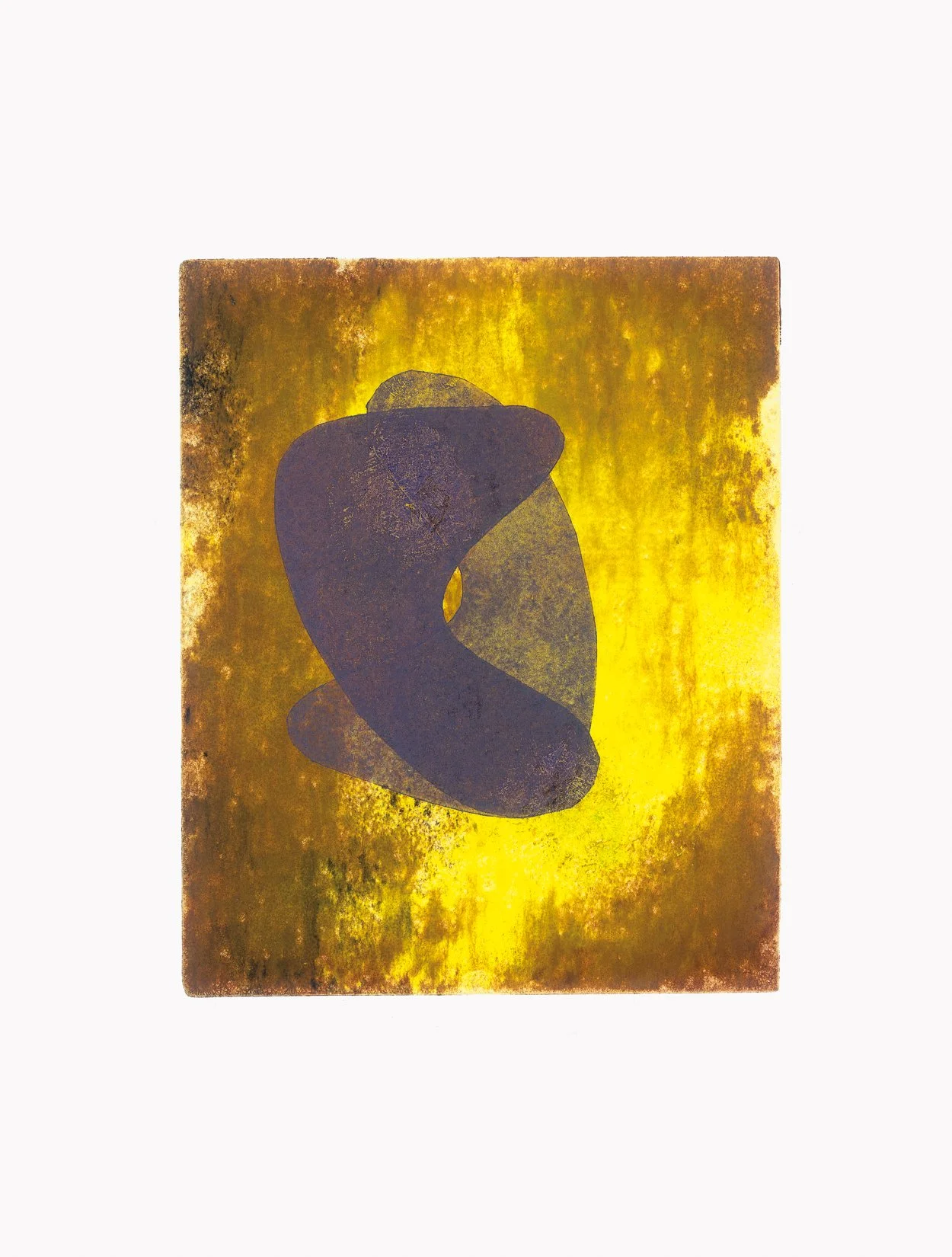 Life Form I, 2013, Aquatint, 30 x 20cm