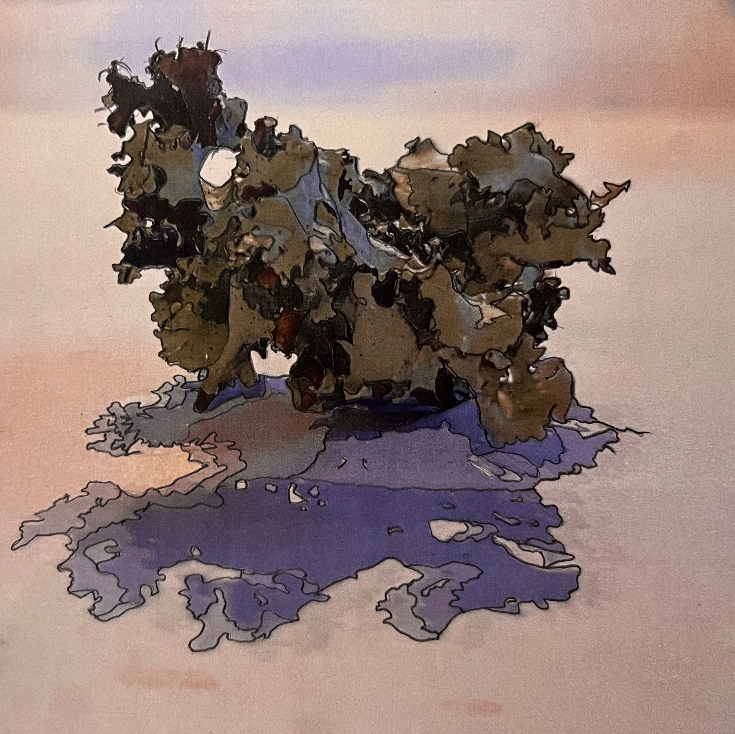 Day 3 Lichen and its shadow - Gigi Salomon Find transformed from Lamberts Castle.jpeg