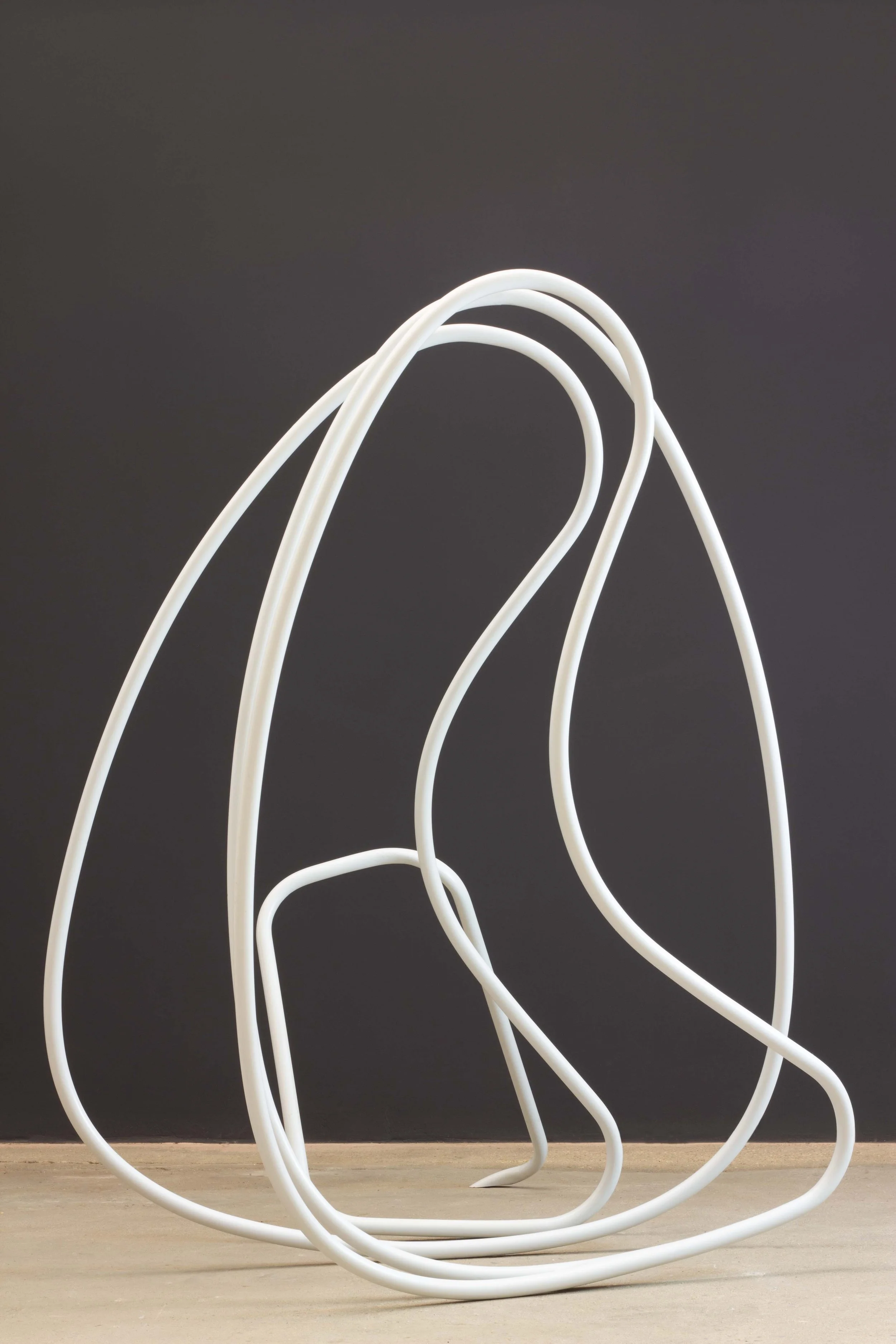 Gigi Salomon - Regeneration (view 2), 2012 - small.jpg