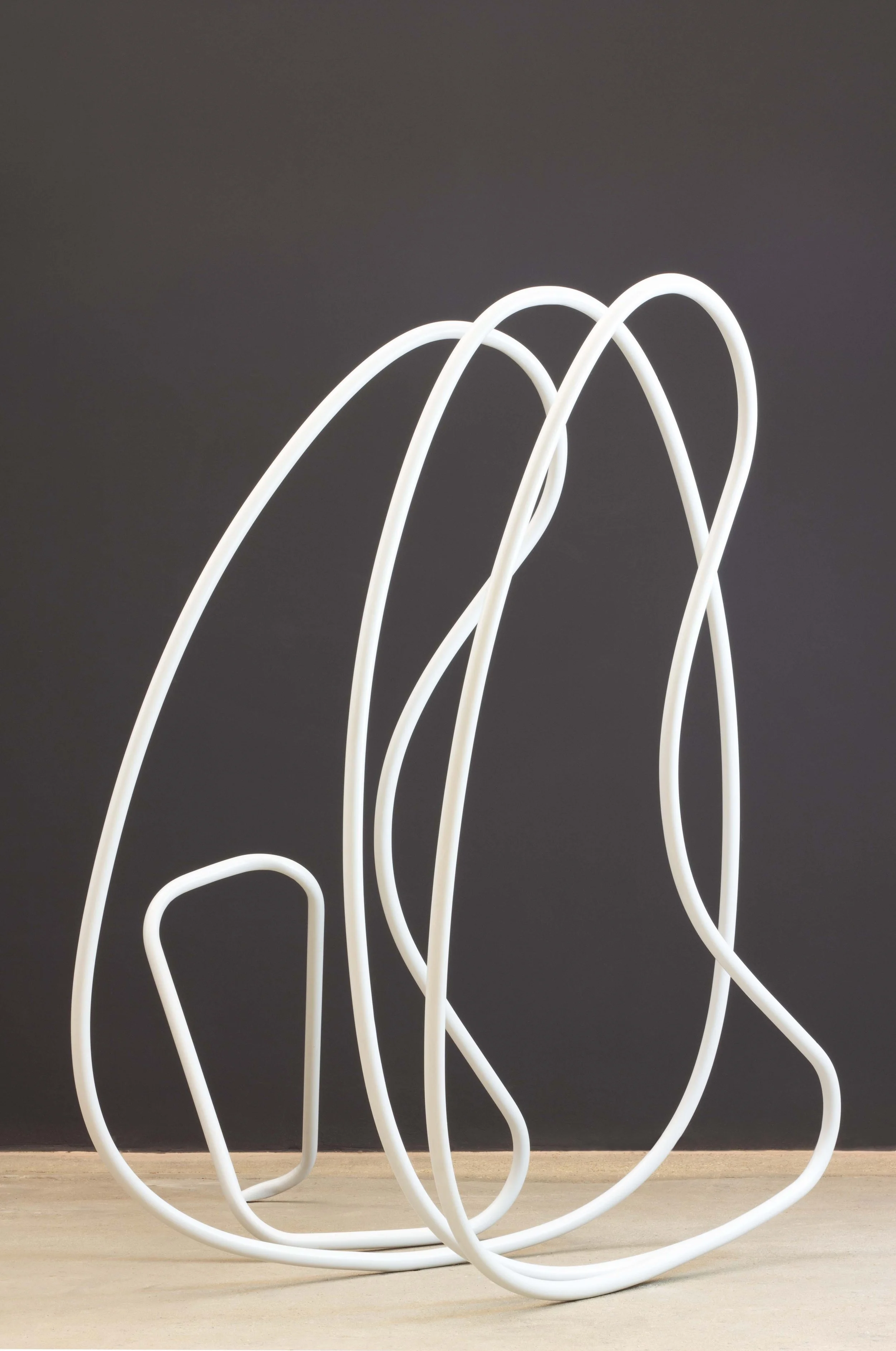 Gigi Salomon - Regeneration (view 1), 2012 - small.jpg