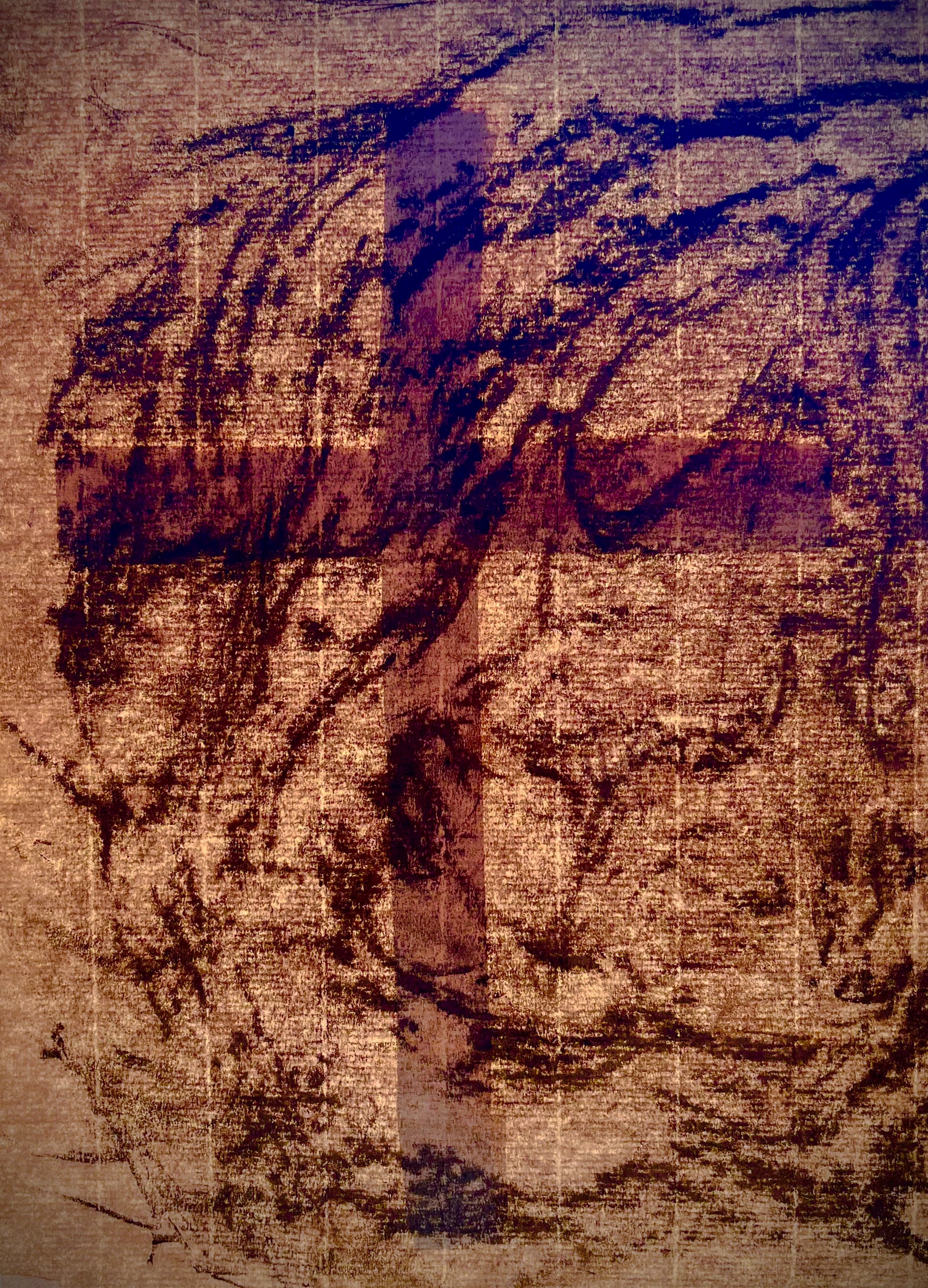 Gigi Salomon - Drawing.jpg