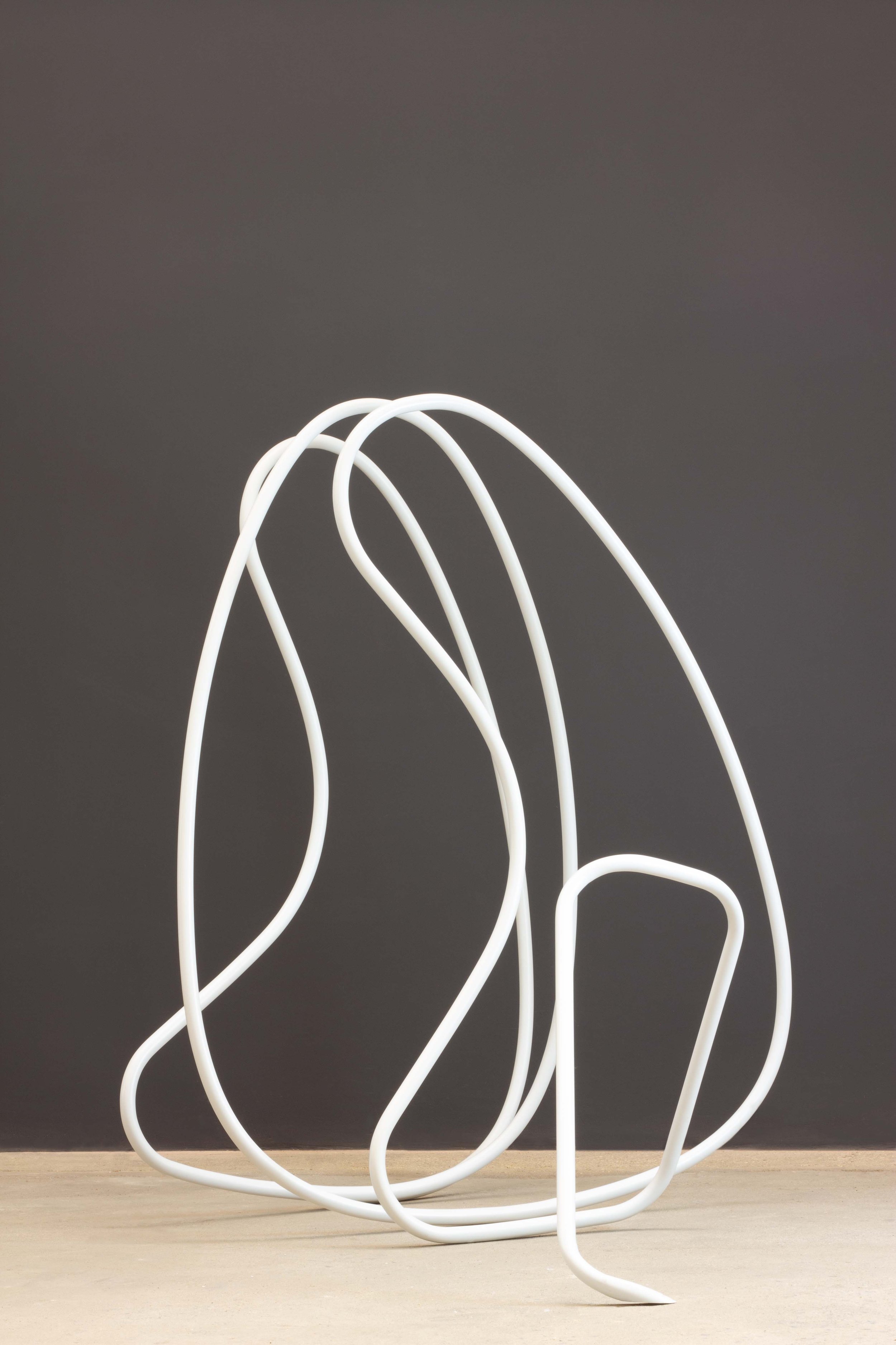 Gigi Salomon - Regeneration (view 4), 2012 - small.jpg