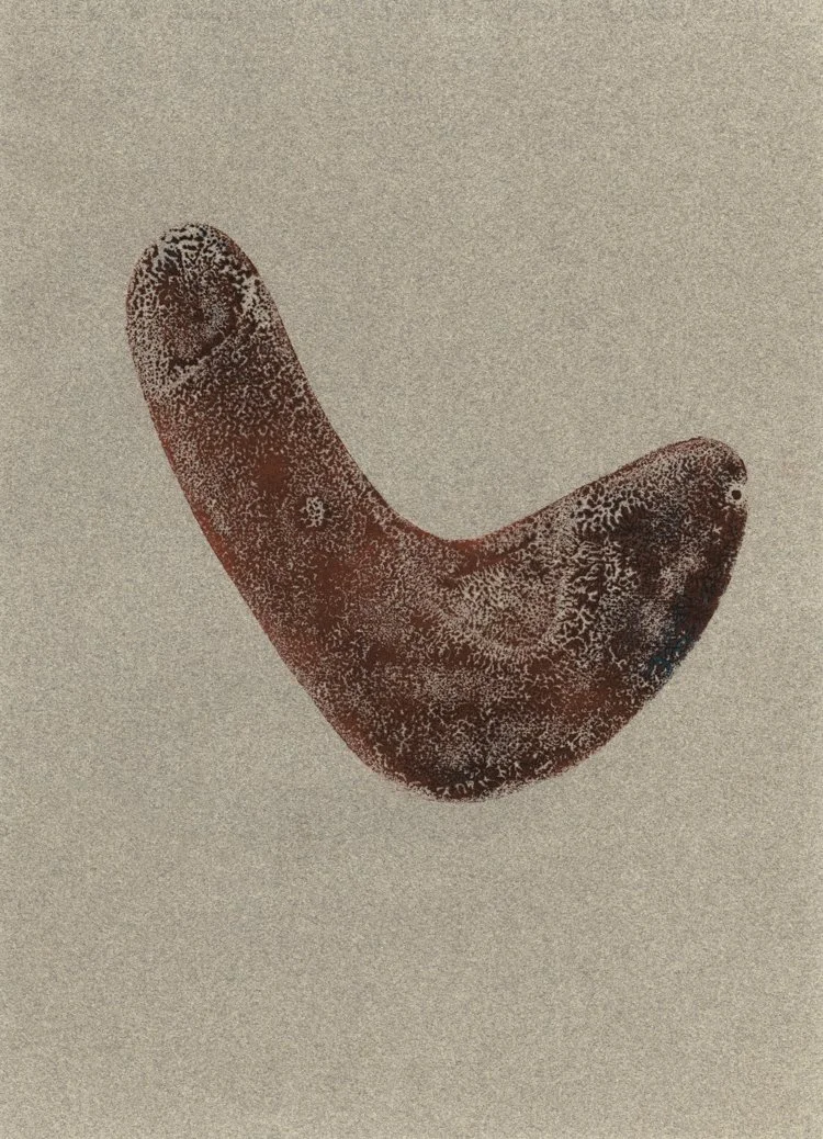 Fossil, 2013, monoprint