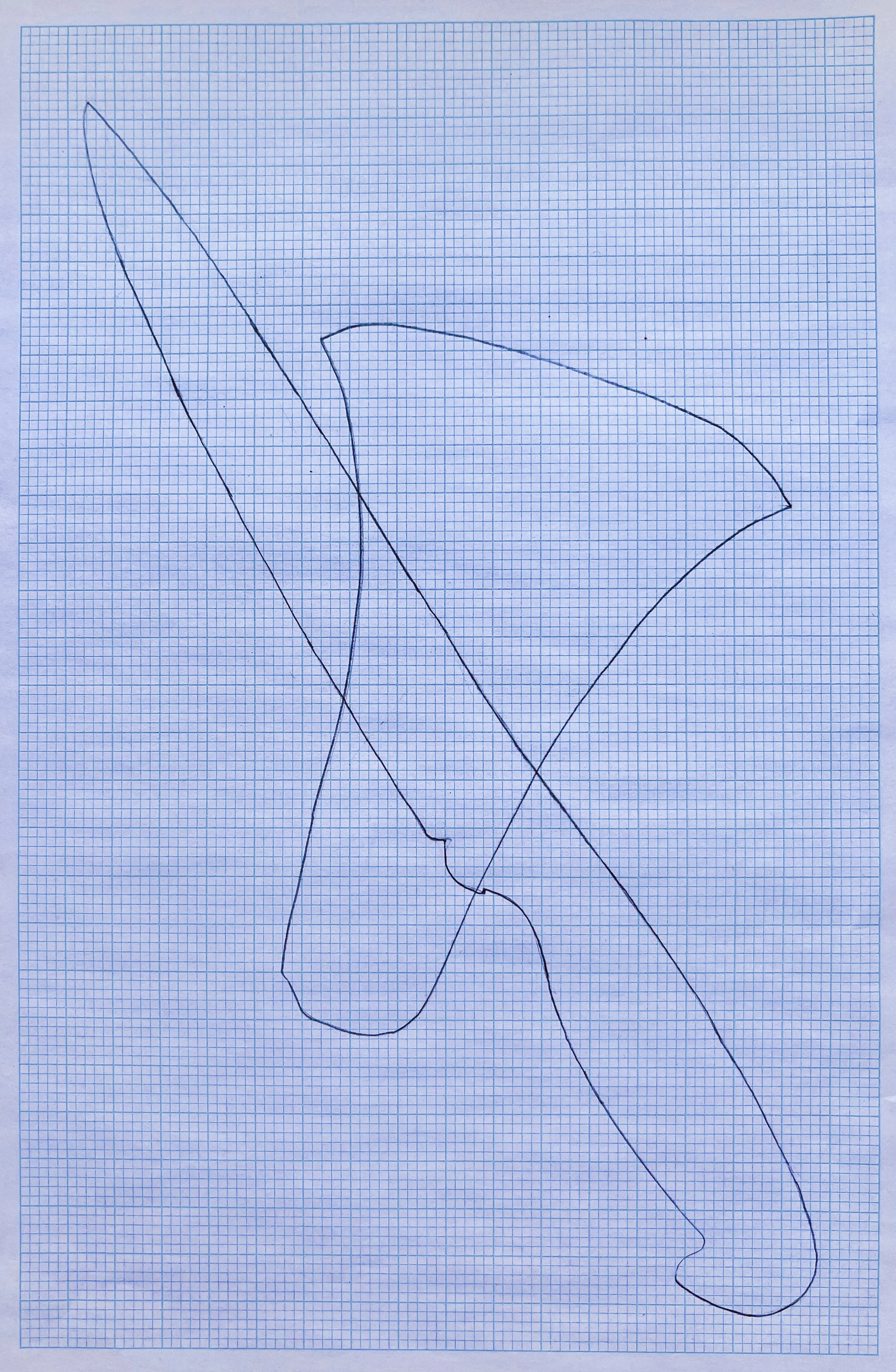 Gigi Salomon - Drawing-1.jpg