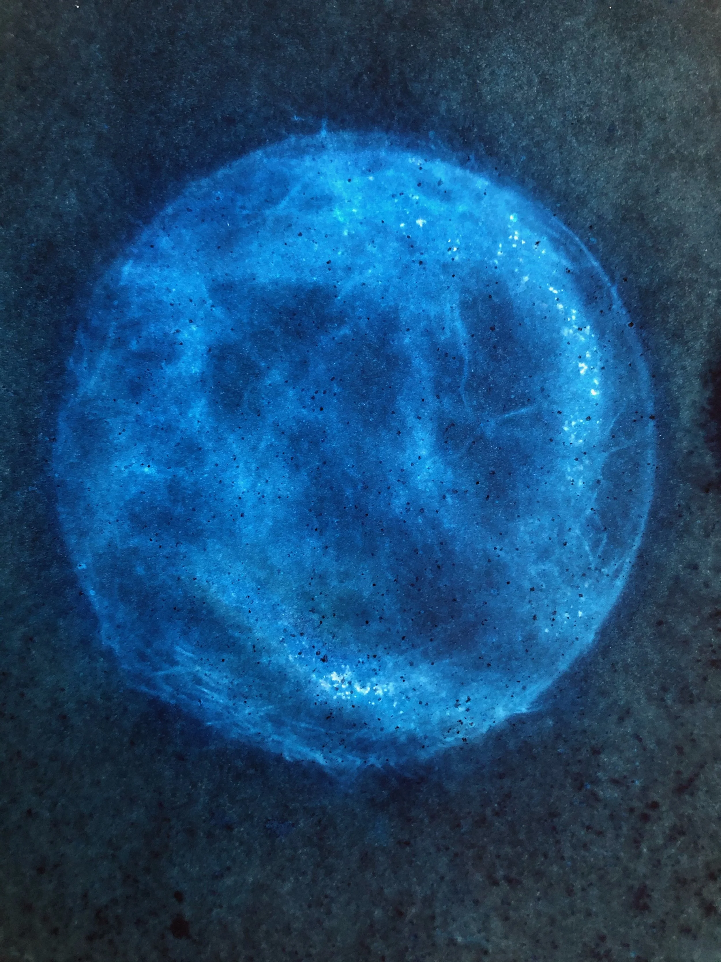 Worlds I, Cyanotype, 2021
