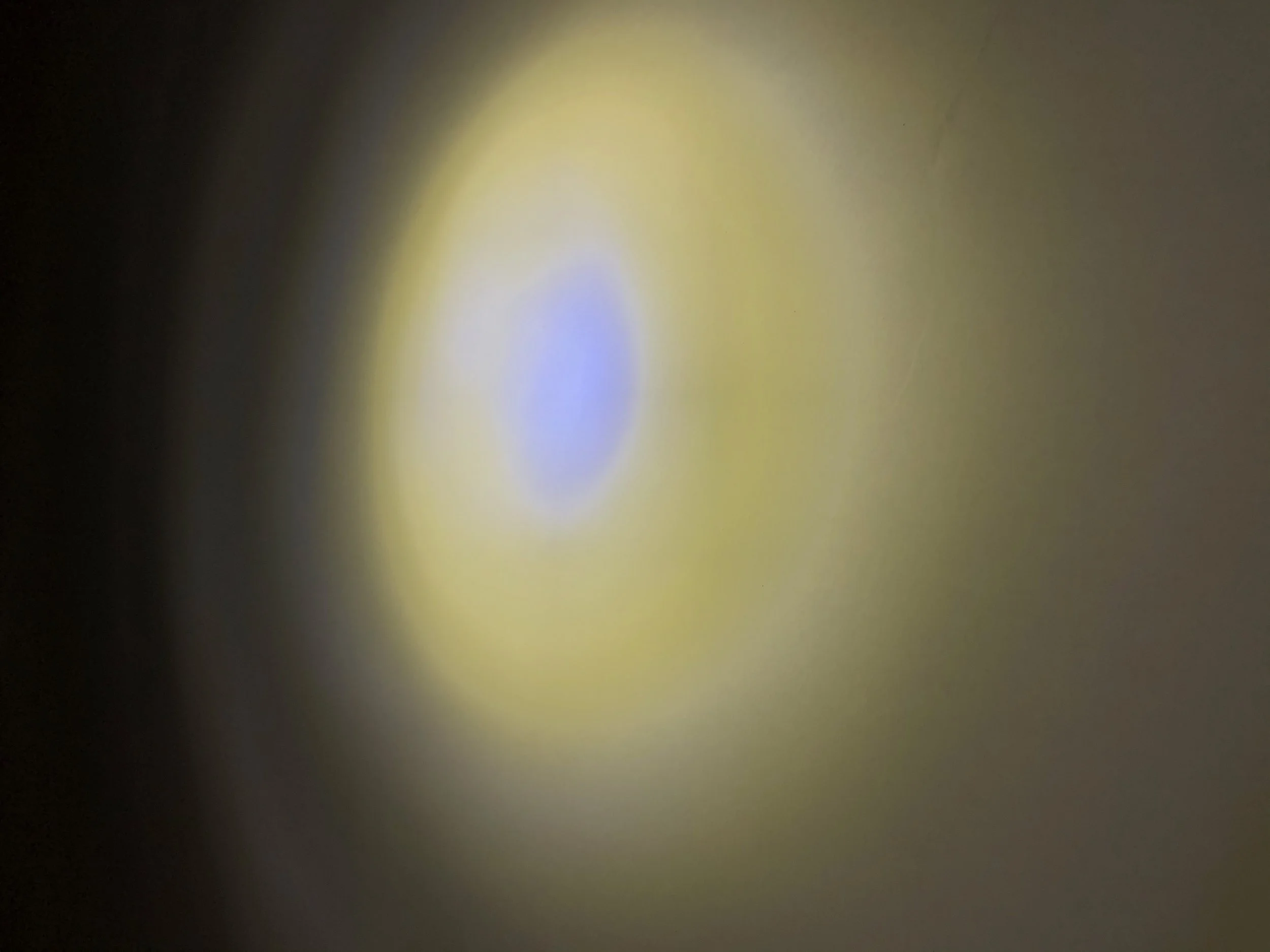IMG_9843.jpeg