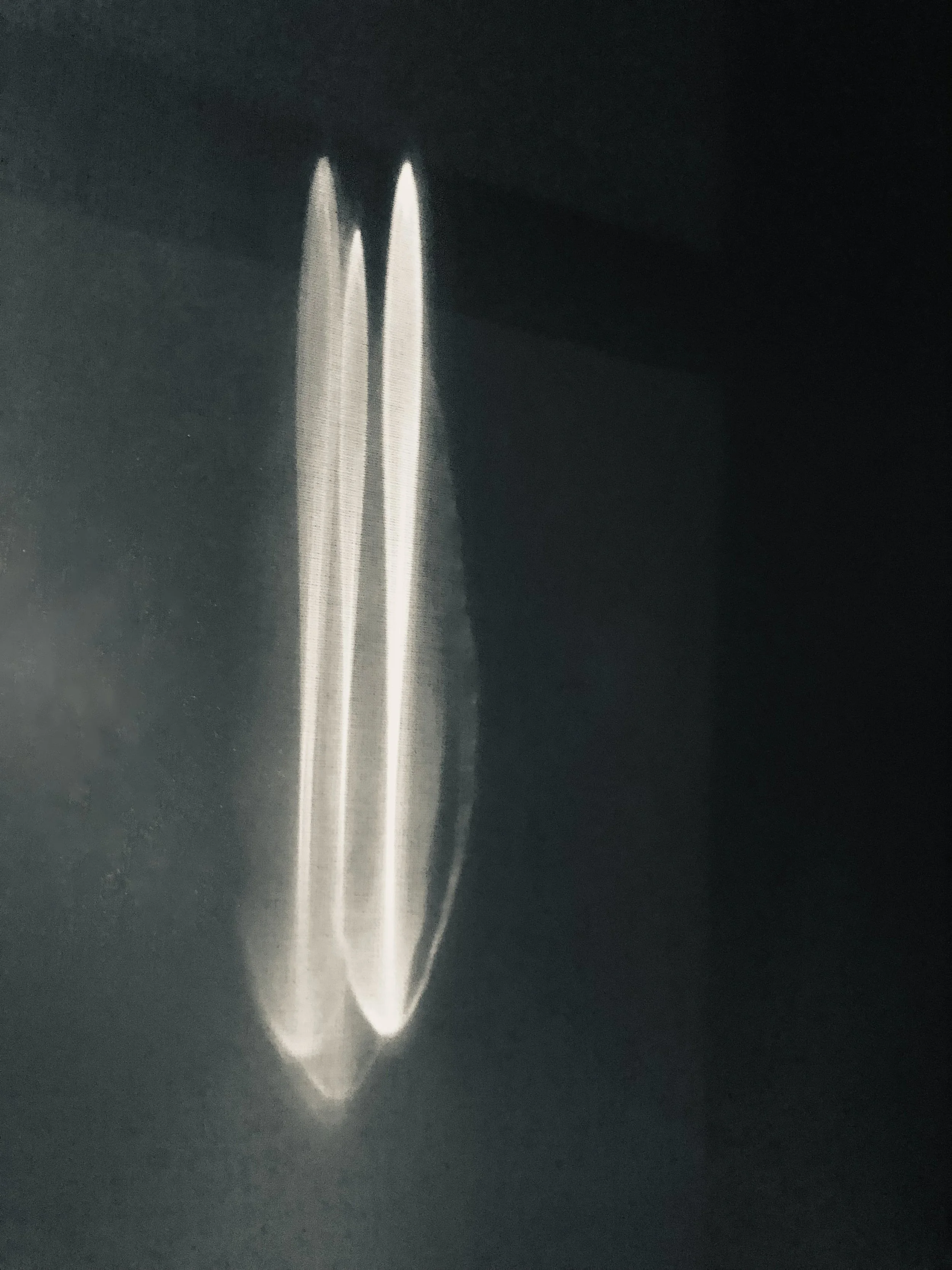 Shadow Casting-1.jpg