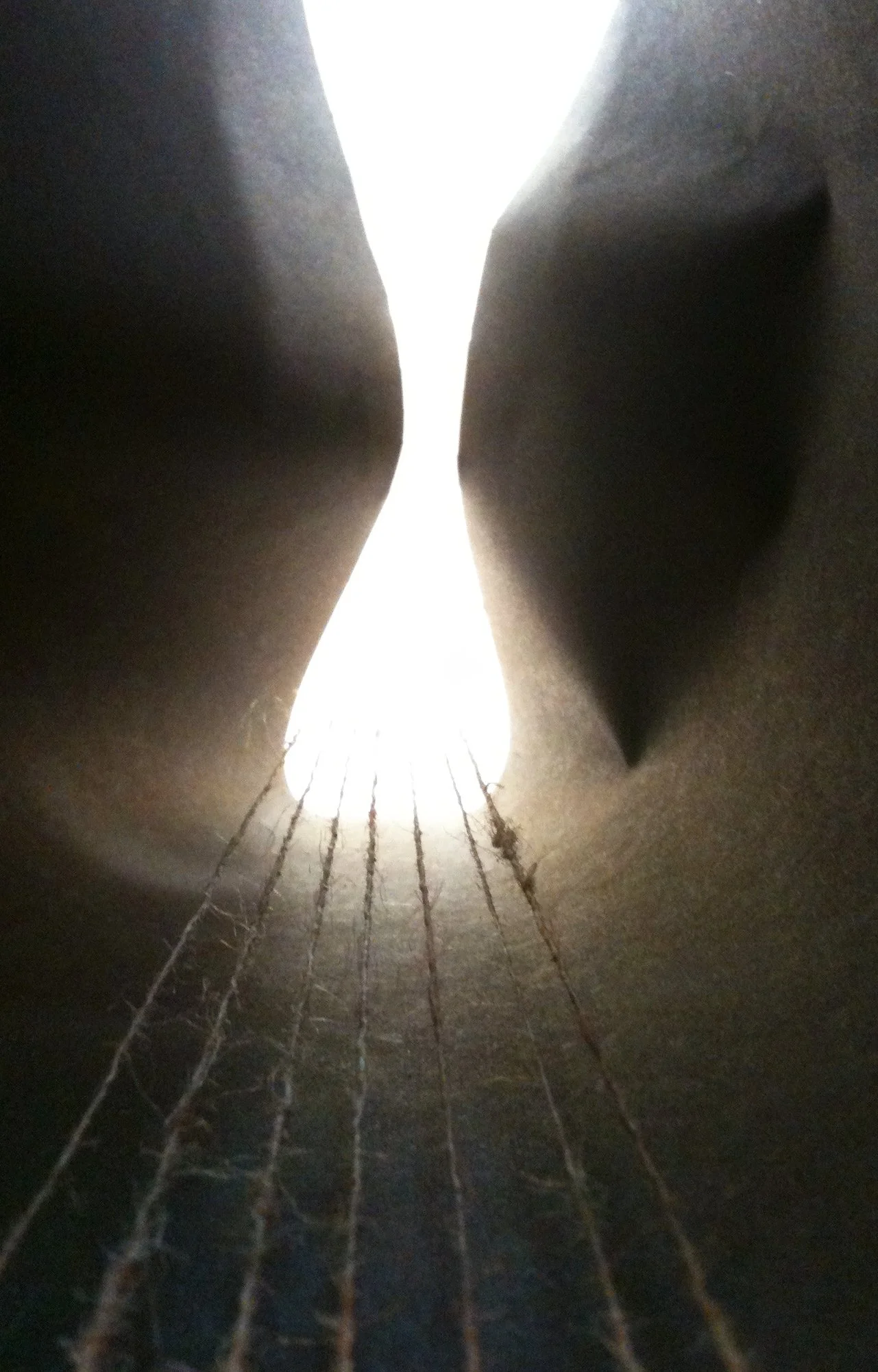 Guide Me, 2011, C-Type Photograph, 59 x 38cm