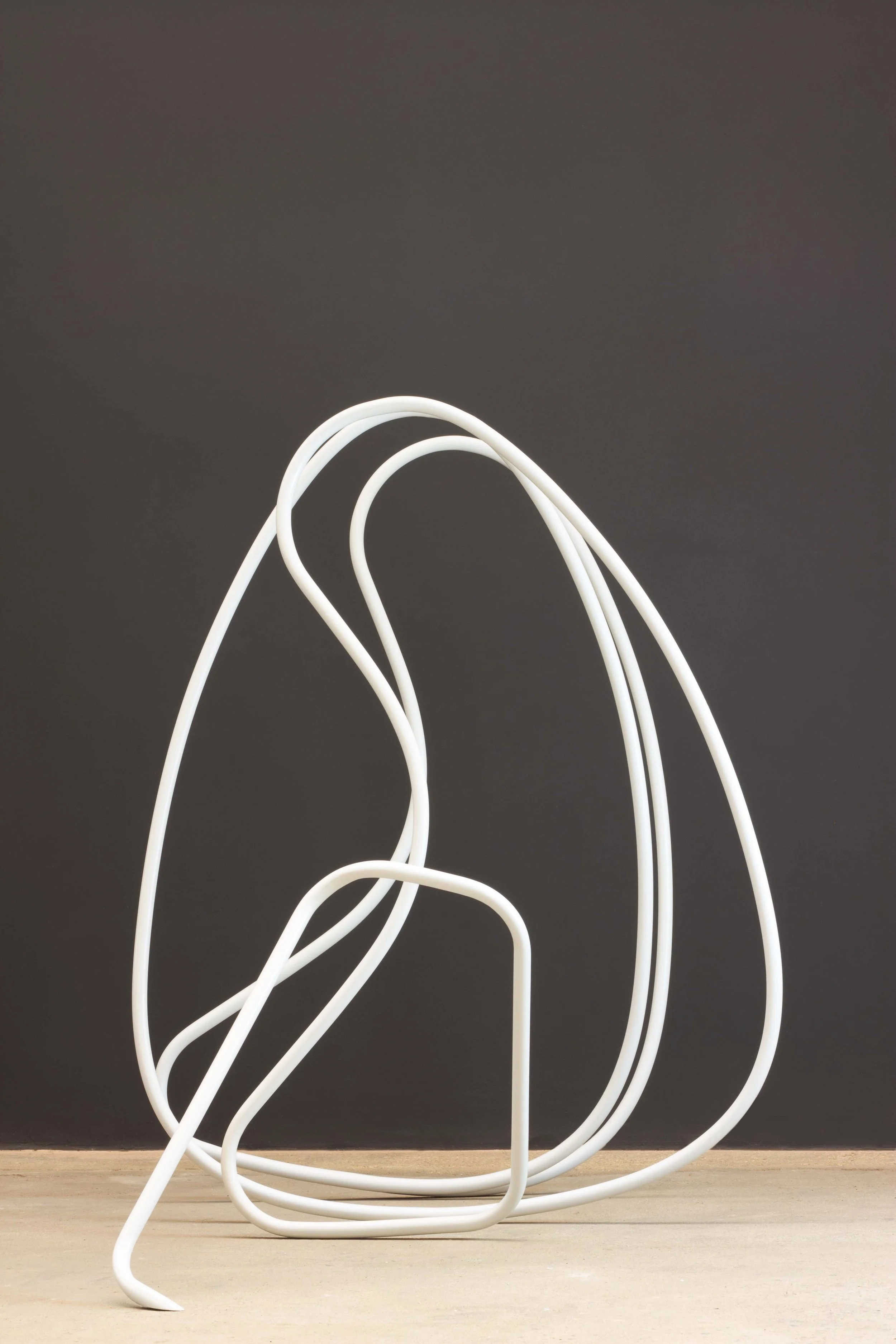 Gigi Salomon - Regeneration (view 3), 2012 - small.jpg