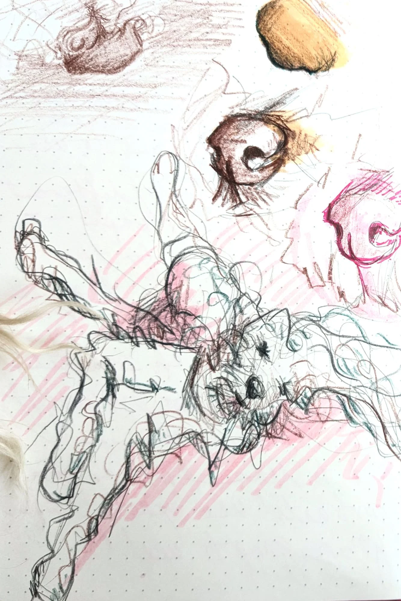 sleeping-funny-dog-doodle-page.jpg