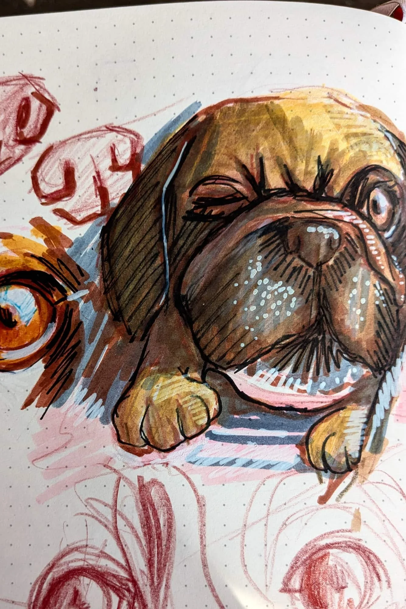 pug-doodle-colour-drawing-sketchbook.jpg