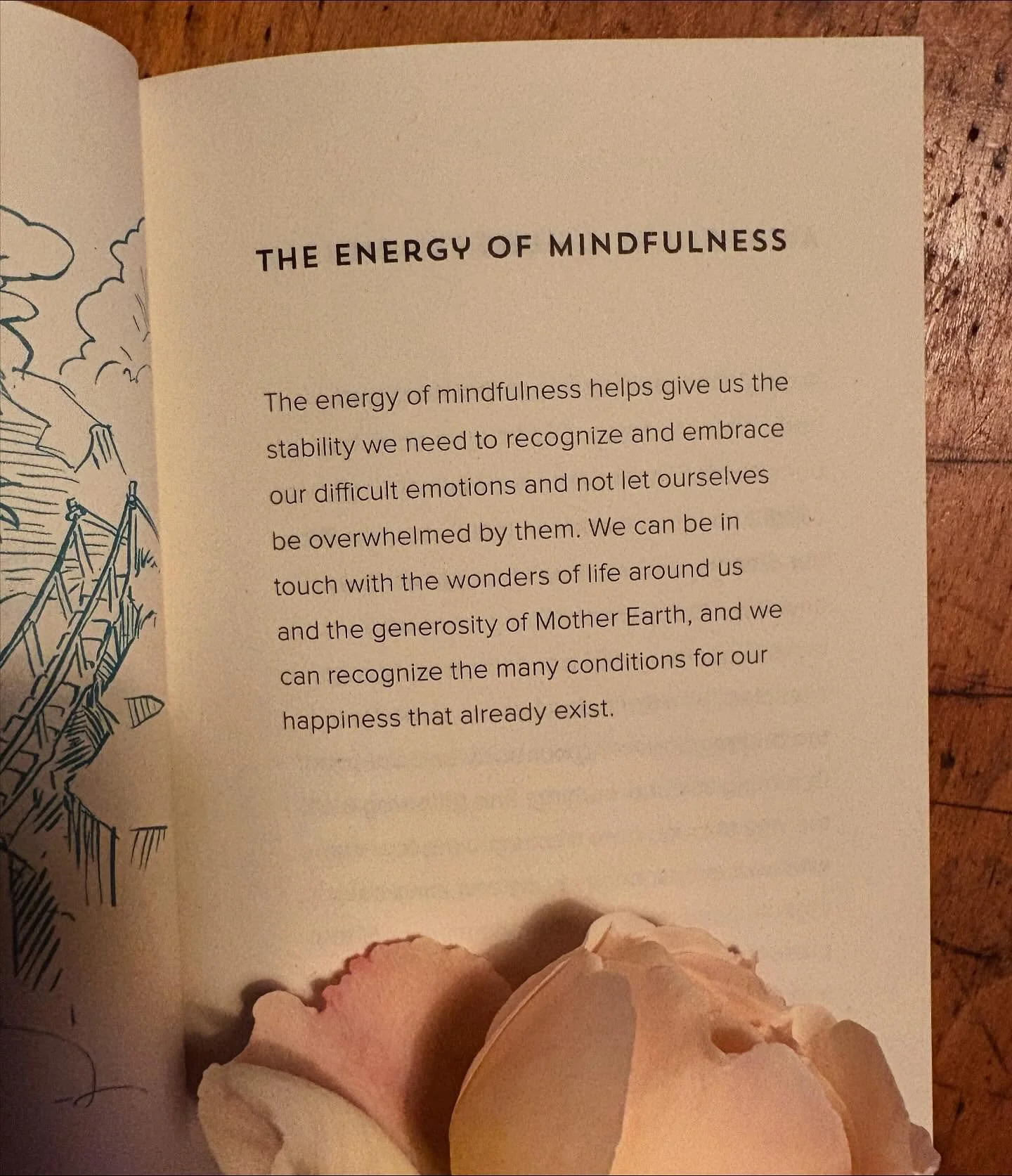 Words from a teacher.
From the pocket sized book How to Connect by Thich Nhat Hahn.
#dailypractice #mindfulness #connection #connect #thichnhathanh #yoga #pause