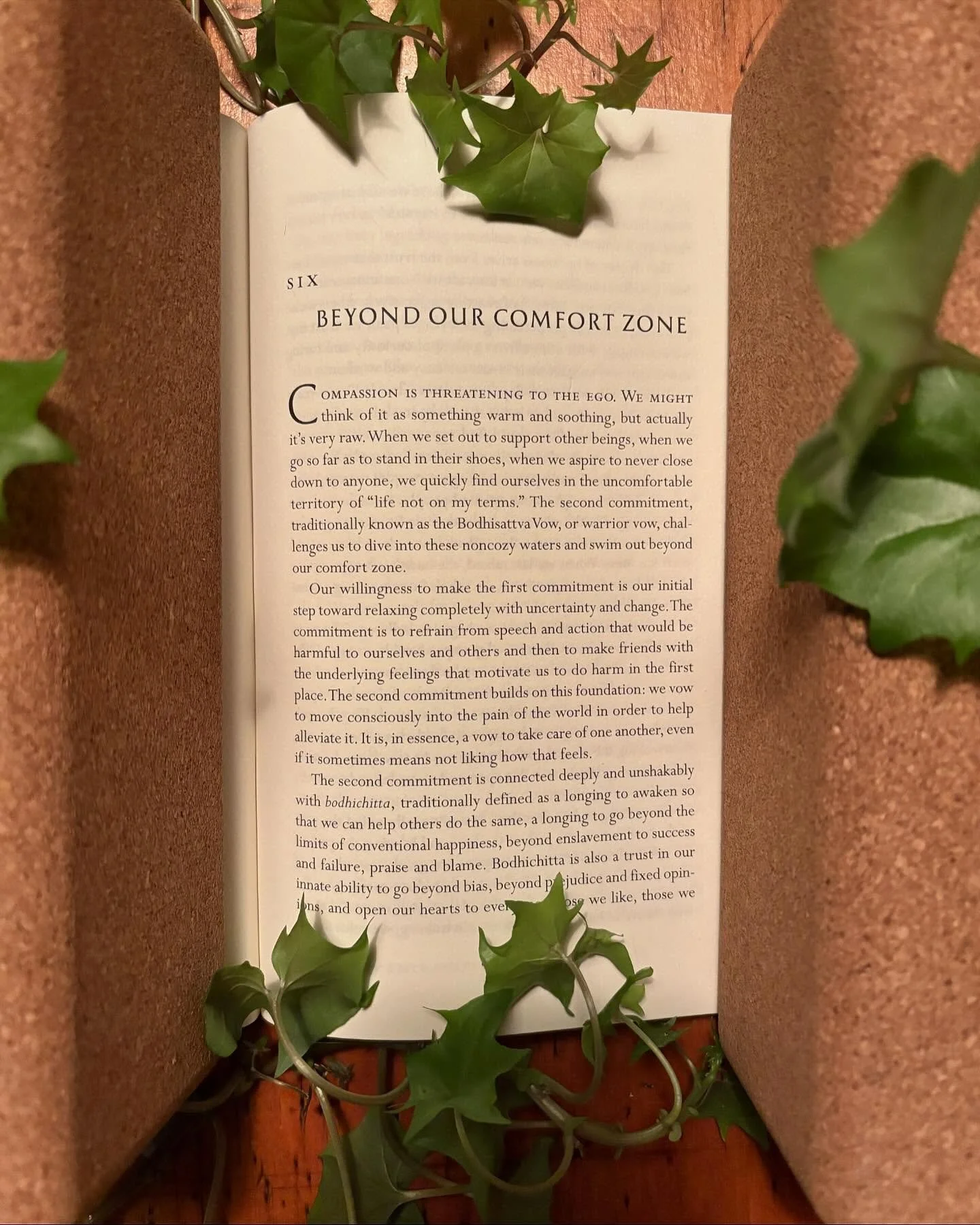 This week&rsquo;s classes, focusing on staying open, &ldquo;when we aspire to never close down to anyone&rdquo; from Pema Chodron&rsquo;s book Living Beautifully Through Uncertainty and Change. When we experience stress our nervous system responds, o