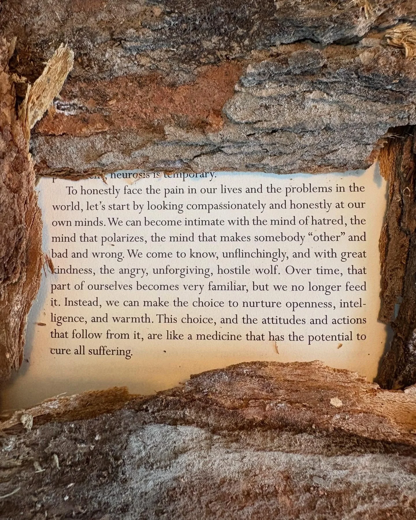 Learning from teachers. &ldquo;To honestly face the pain in our lives and the problems in the world, let&rsquo;s start by looking compassionately and honestly at our own minds&rdquo;. Pema Ch&ouml;dr&ouml;n - Taking The Leap. When we slow down, throu
