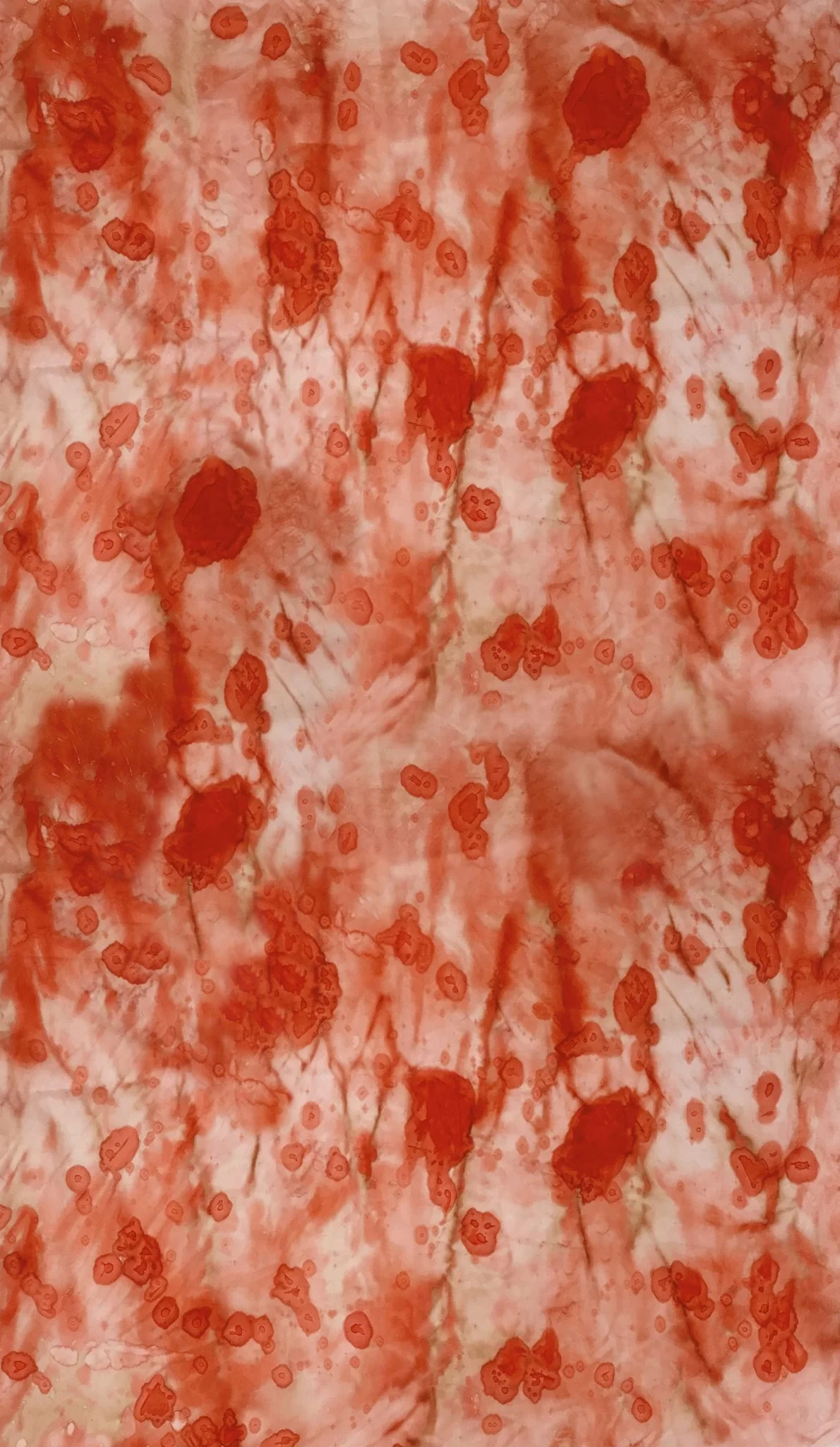 VictimsCover-1190x2048.jpg