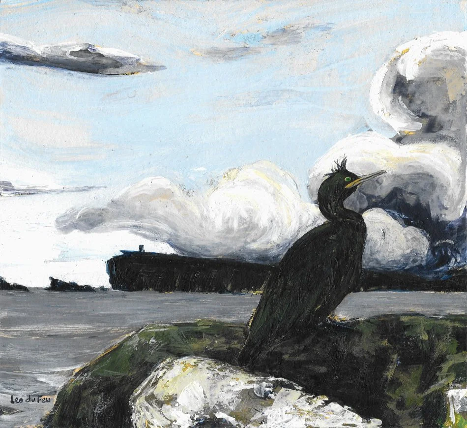 Phalacrocorax Aristotelis, View to Mousa