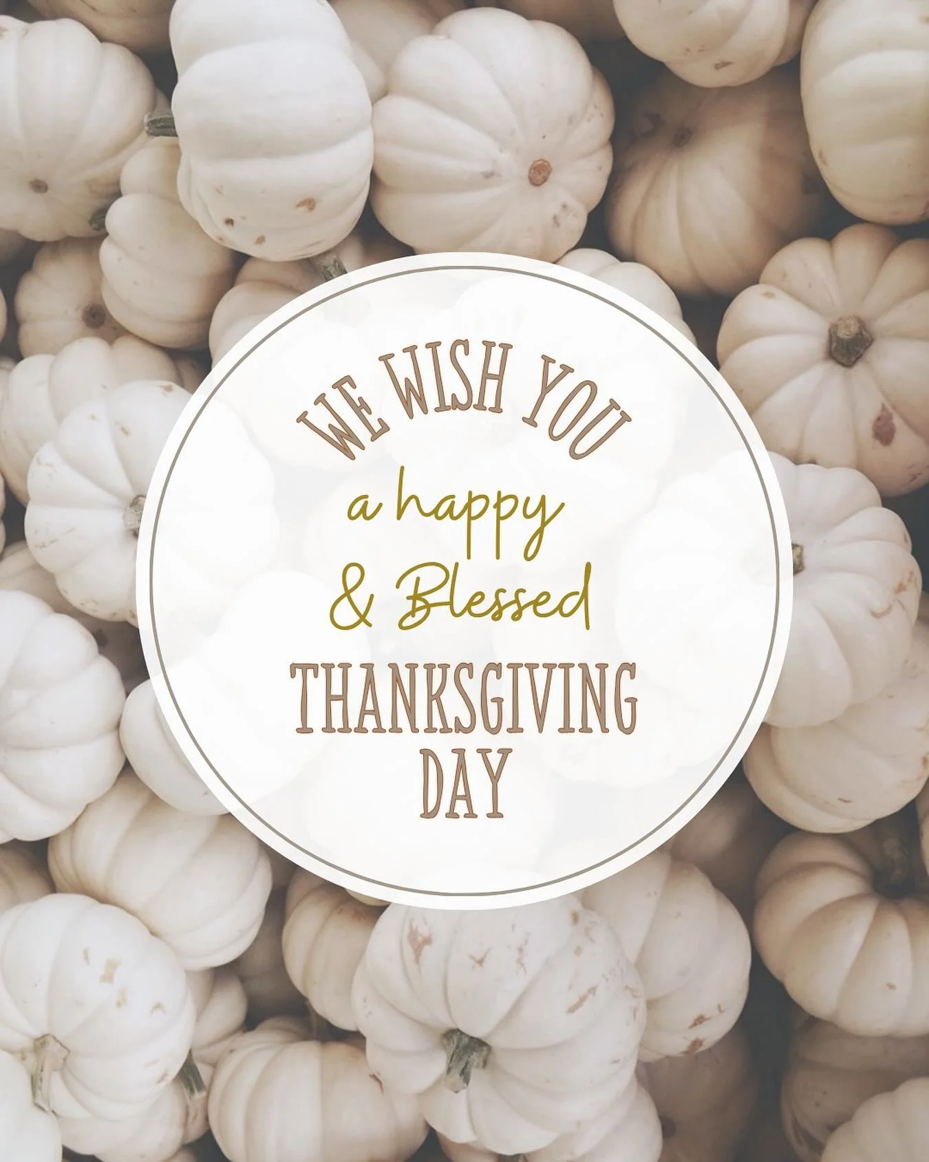 Happy Thanksgiving! 

Feeling extra grateful today &mdash; for you, our amazing clients who continue to trust and support us, for the incredible team who shows up every day with heart and dedication, and for the growth this year has brought.

Every m
