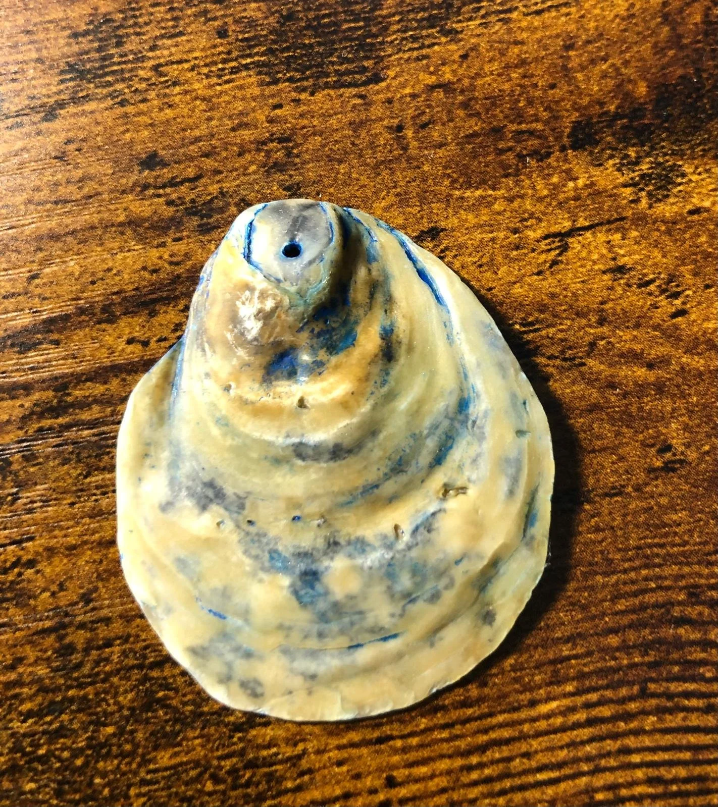 WhatsApp Image 2025-07-19 at 11.12.44-6.jpeg