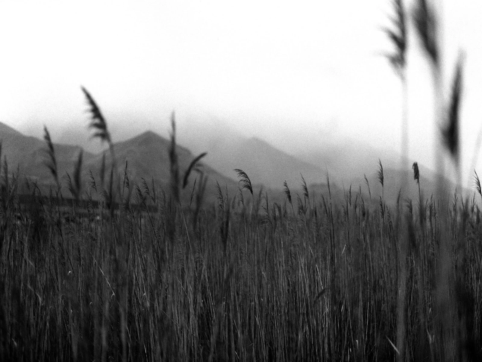 Mel’s Window: “Seasons of the Mind”&nbsp;