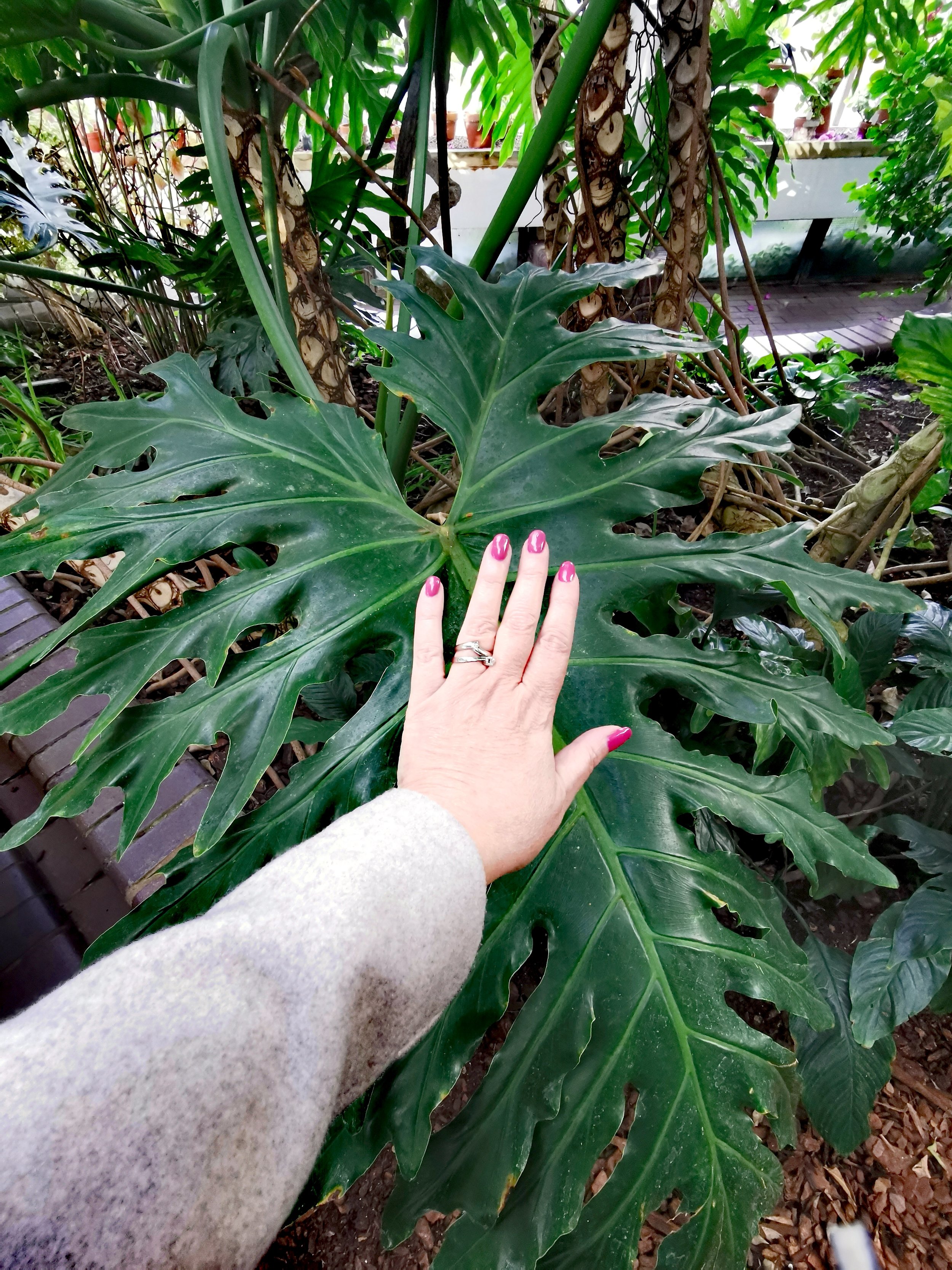 My Inspiring Day at the First-Ever Biophilic Design Conference 