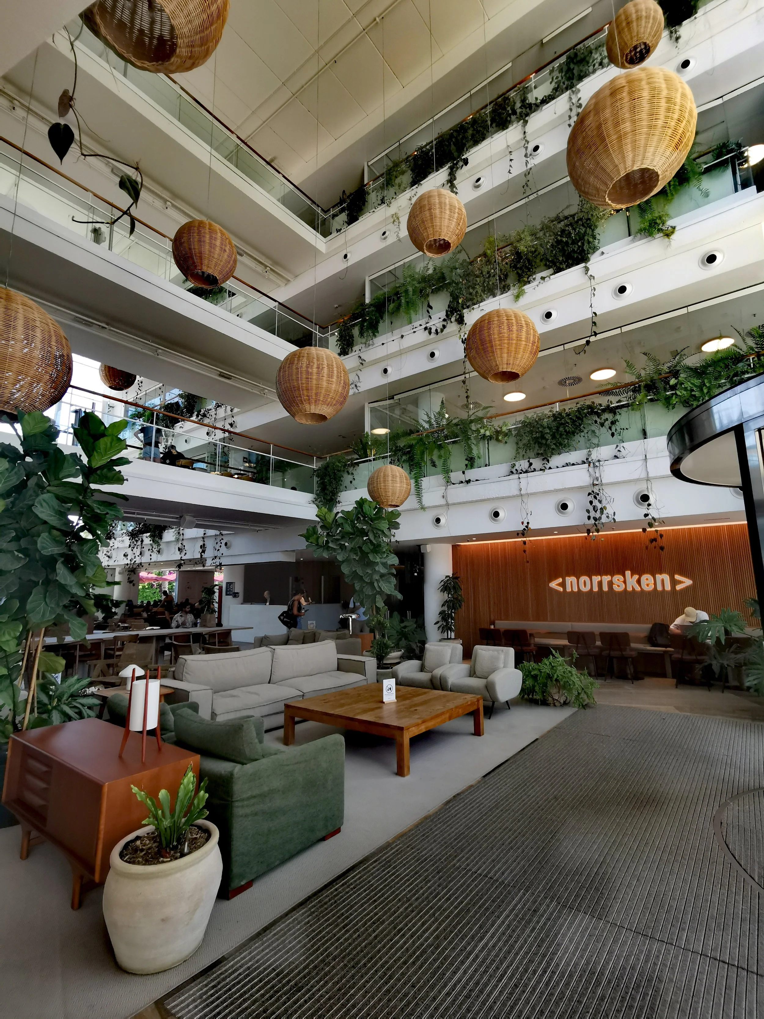 Why More Companies Need Bold Biophilic Office Design: Lessons from a Day at Norrsken House in Barcelona