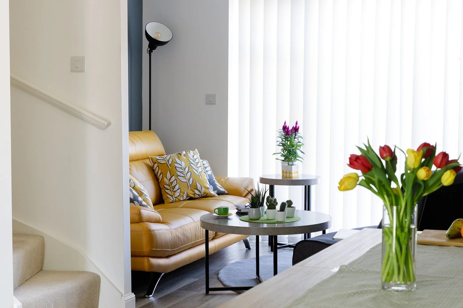 A vibrant yet grounded living space where bold colour, natural textures and curated greenery come together to create warmth, clarity and everyday comfort.