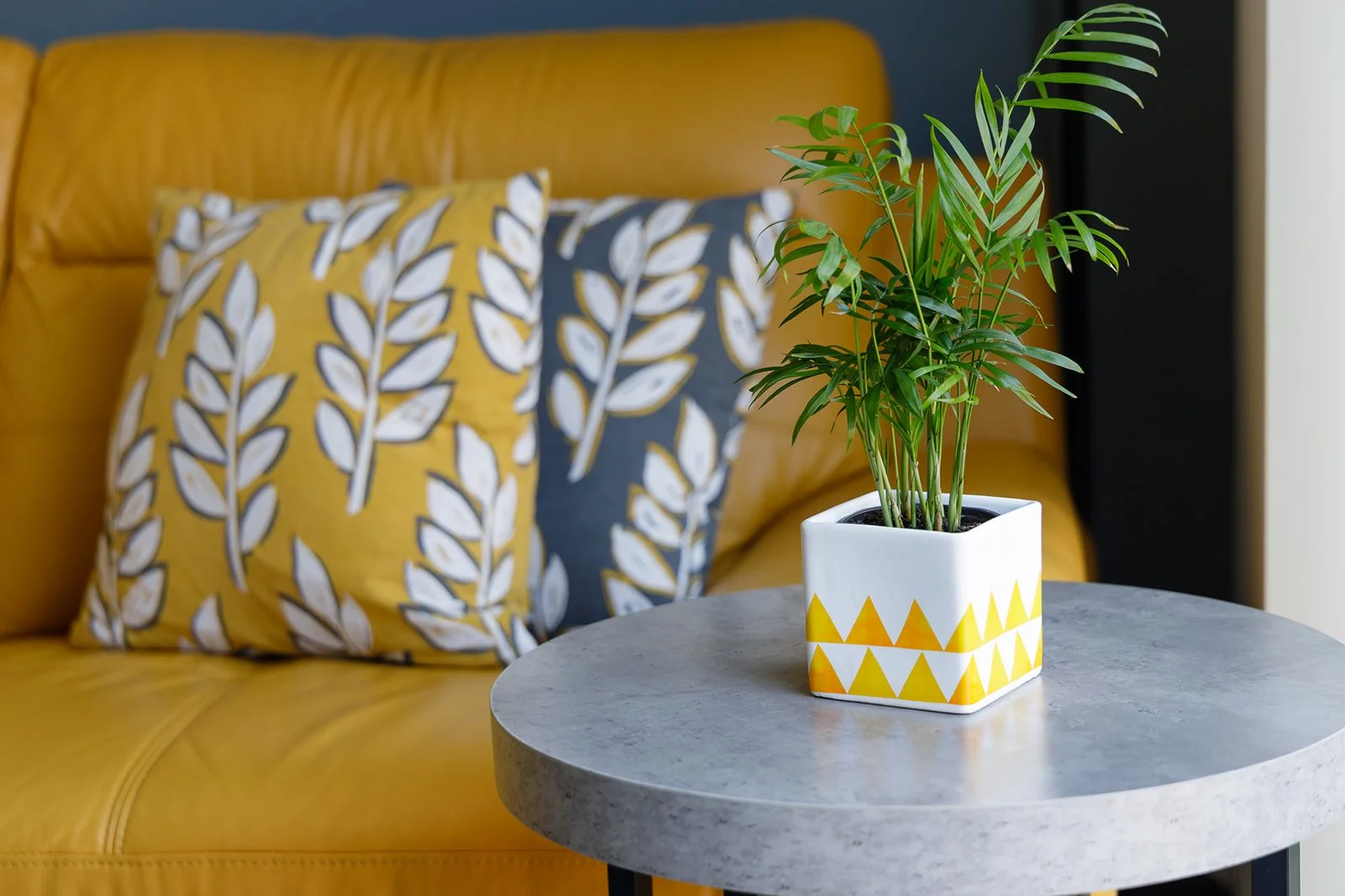 A close-up of bold warmth and biophilic detail where mustard tones, graphic pattern and structured greenery create a confident yet calming moment within the home.