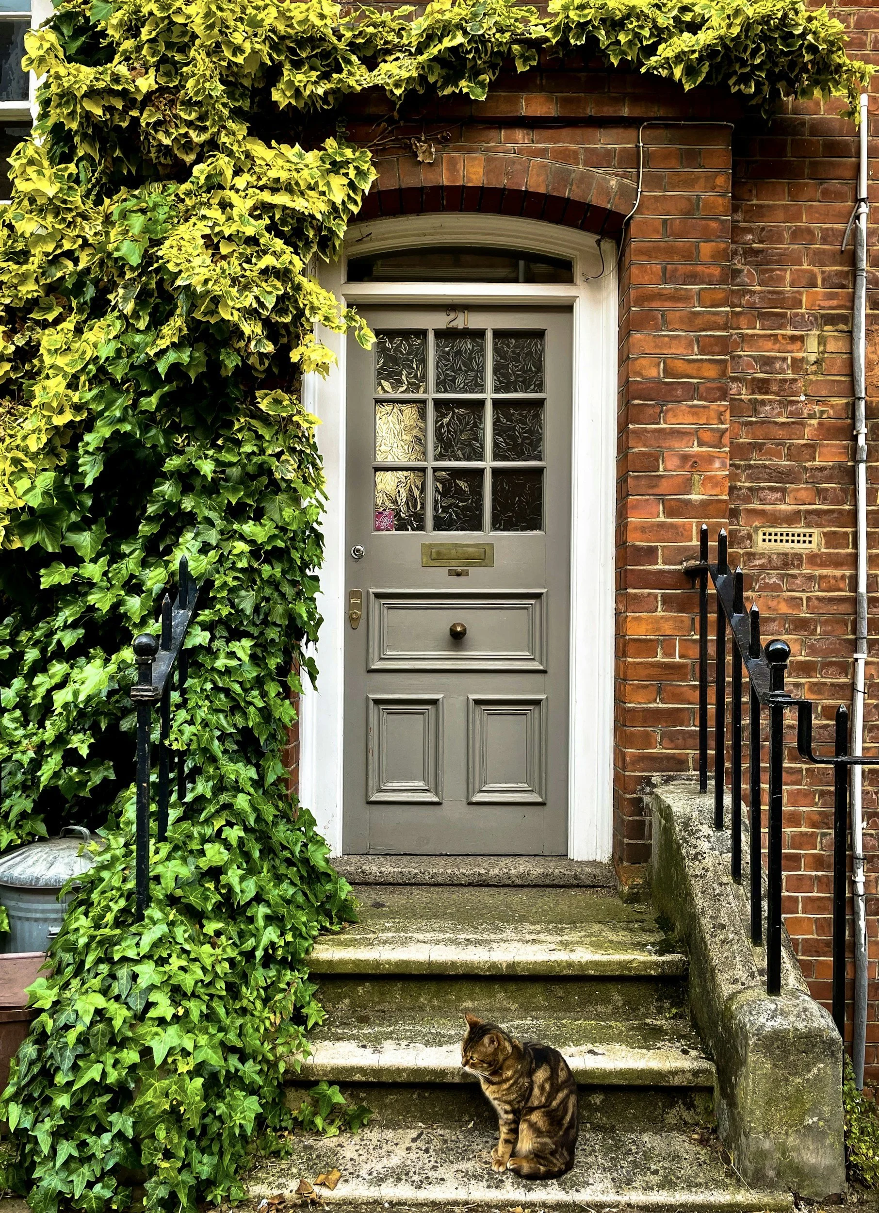 A grey front door with a brass mail slot and a brass doorknob, set in a brick house with a white frame. There are three steps leading up to the door, and a black metal railing on both sides. To the left of the door, green ivy covers part of the house exterior and railing. A tabby cat with brown, black, and orange markings is sitting on the bottom step. The house number, 21, is above the door, and a small window with textured glass is above the door.