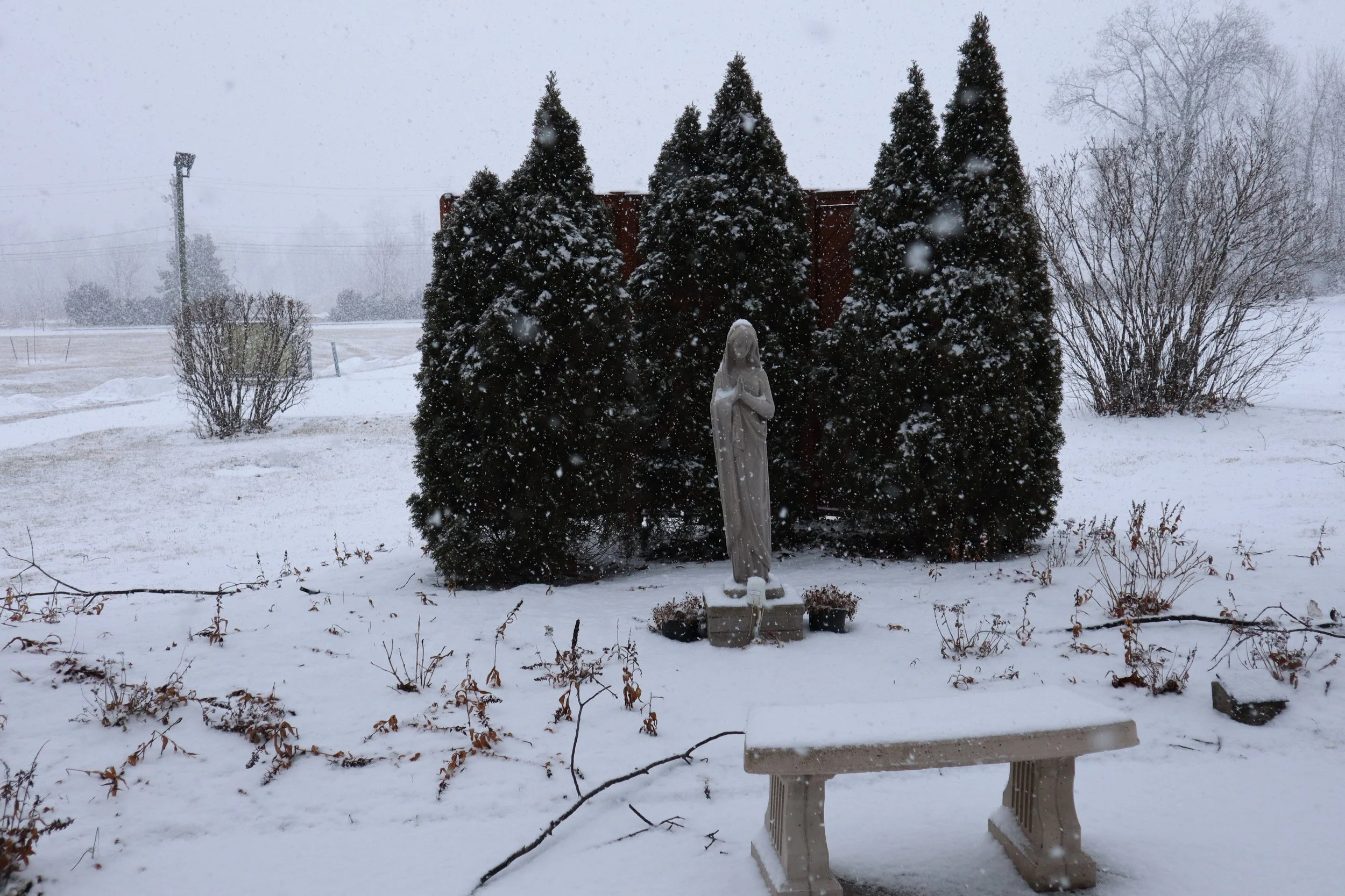 A snow-covered outdoor scene with a statue of the Virgin Mary in front of a row of tall evergreen trees. Snow is falling heavily, and the background shows snow-covered ground and bare trees.
