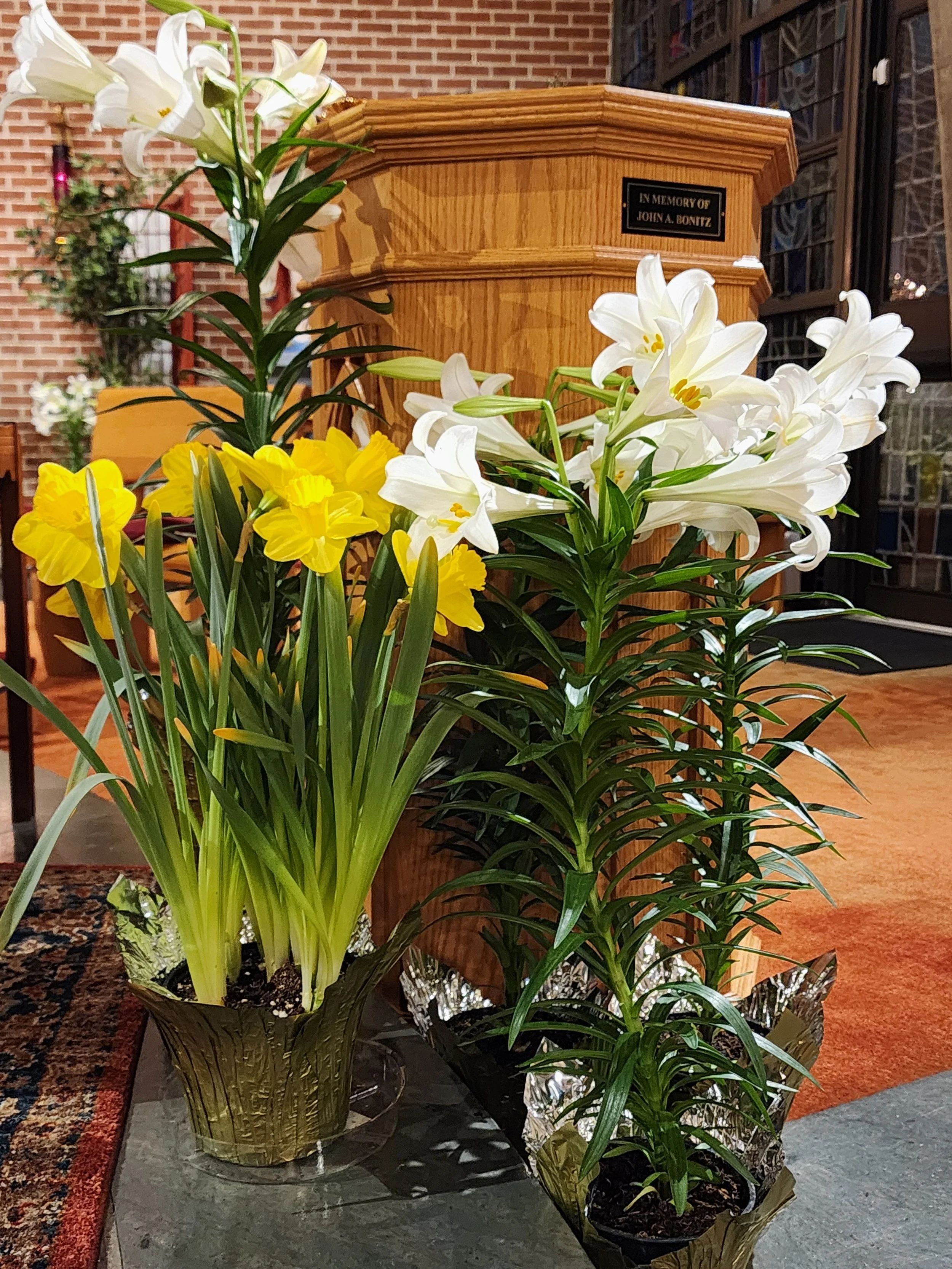 Two floral arrangements of white lilies and yellow daffodils in vases placed on a table inside a building.