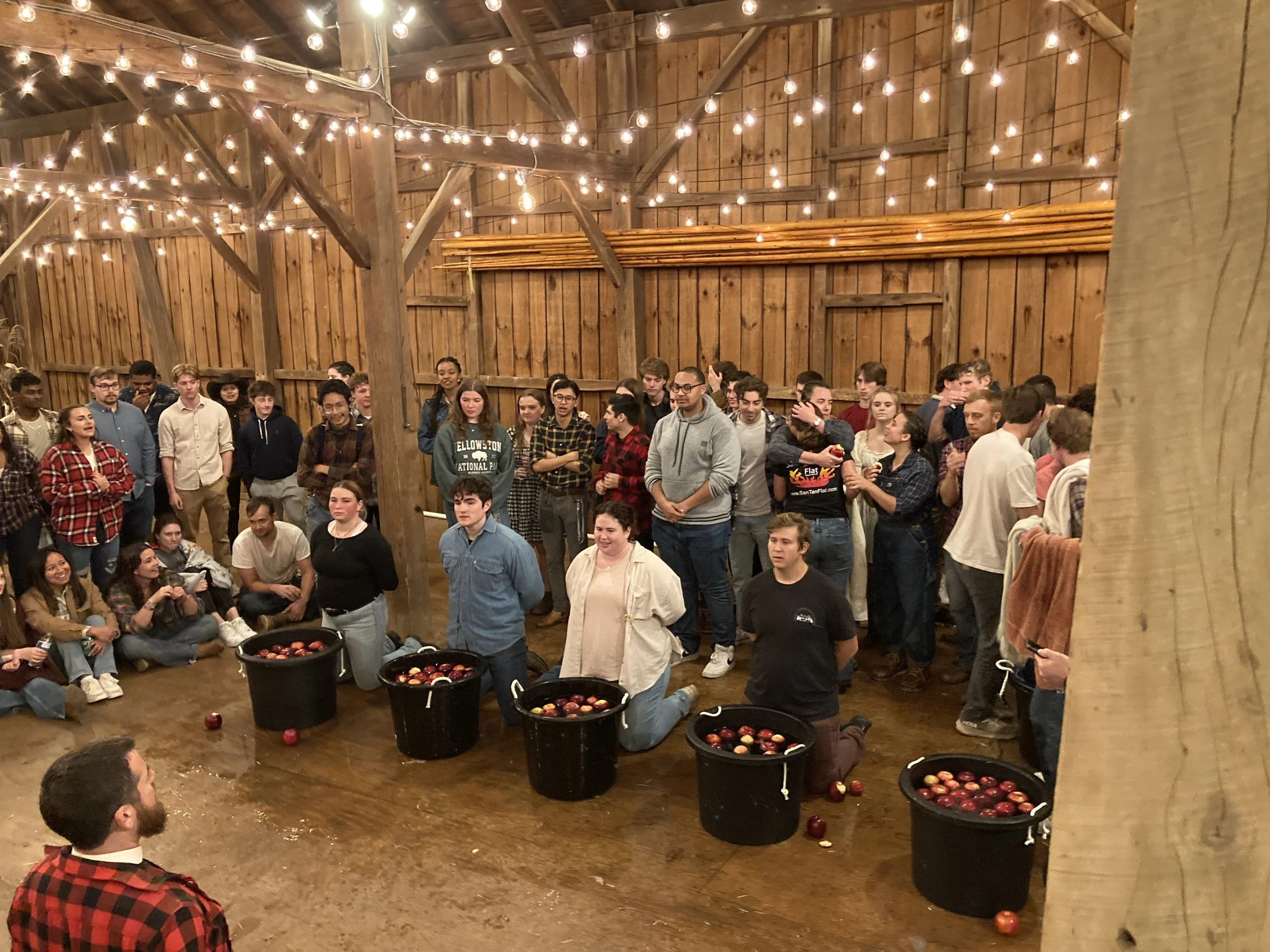 Group of people participating in a plum stomping activity inside a rustic wooden barn with string lights overhead.