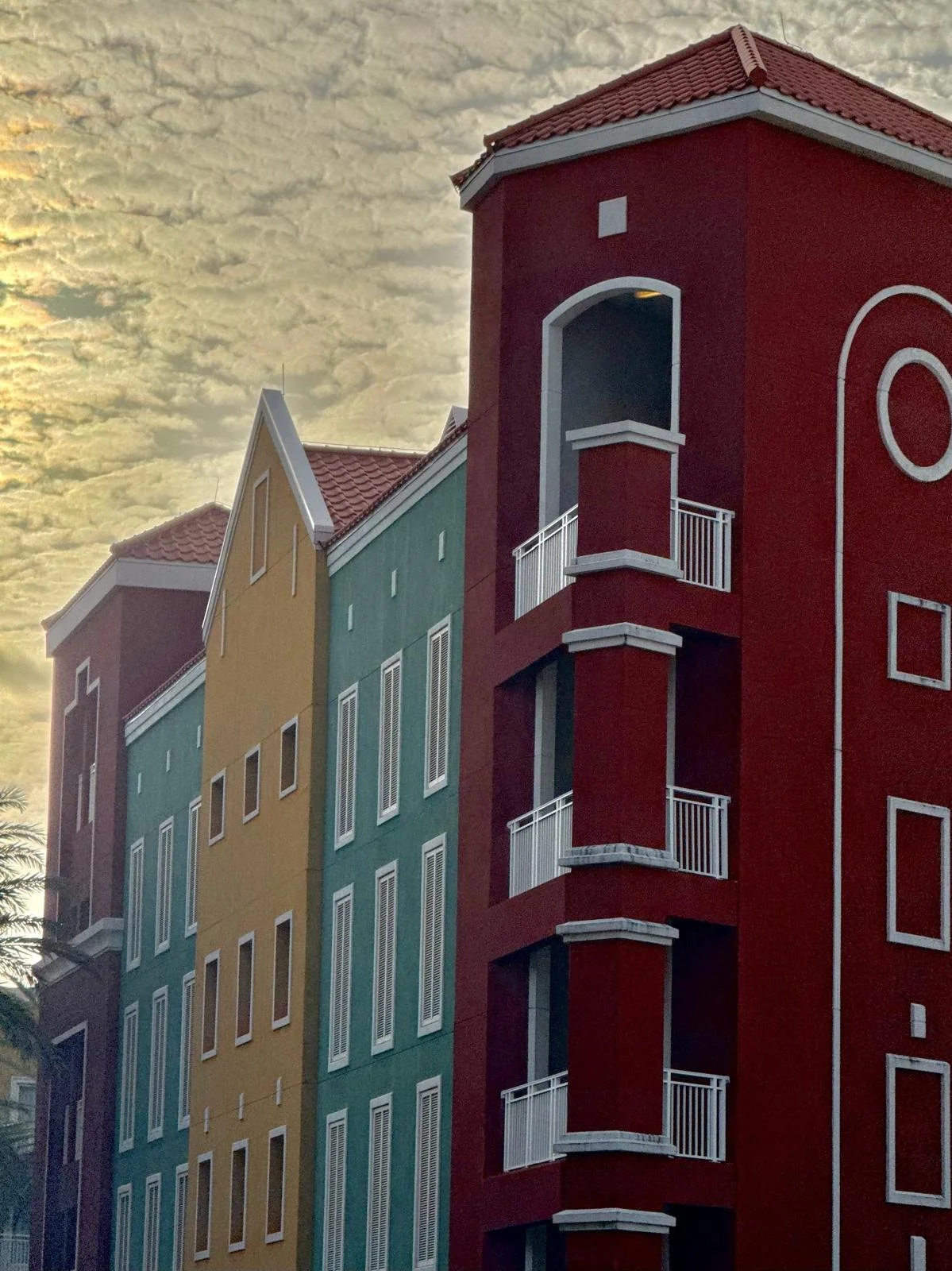 pigmineted curcaco.jpeg