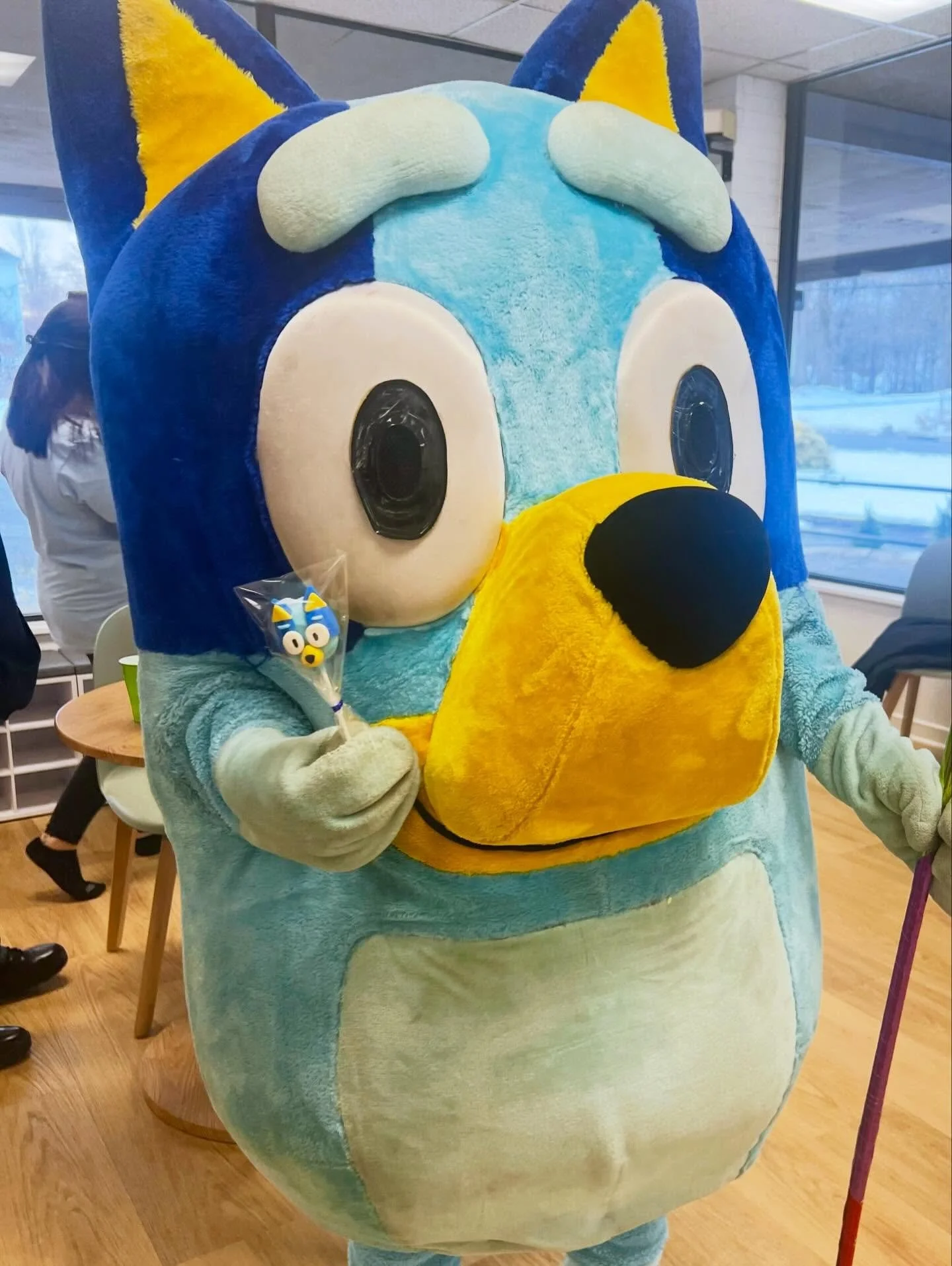 It&rsquo;s a match! These Bluey cakepops from @sprinkle.cakepops look just like the real thing! Thanks for adding a special touch to our Rainbow Lane birthday parties!! 🌈✨