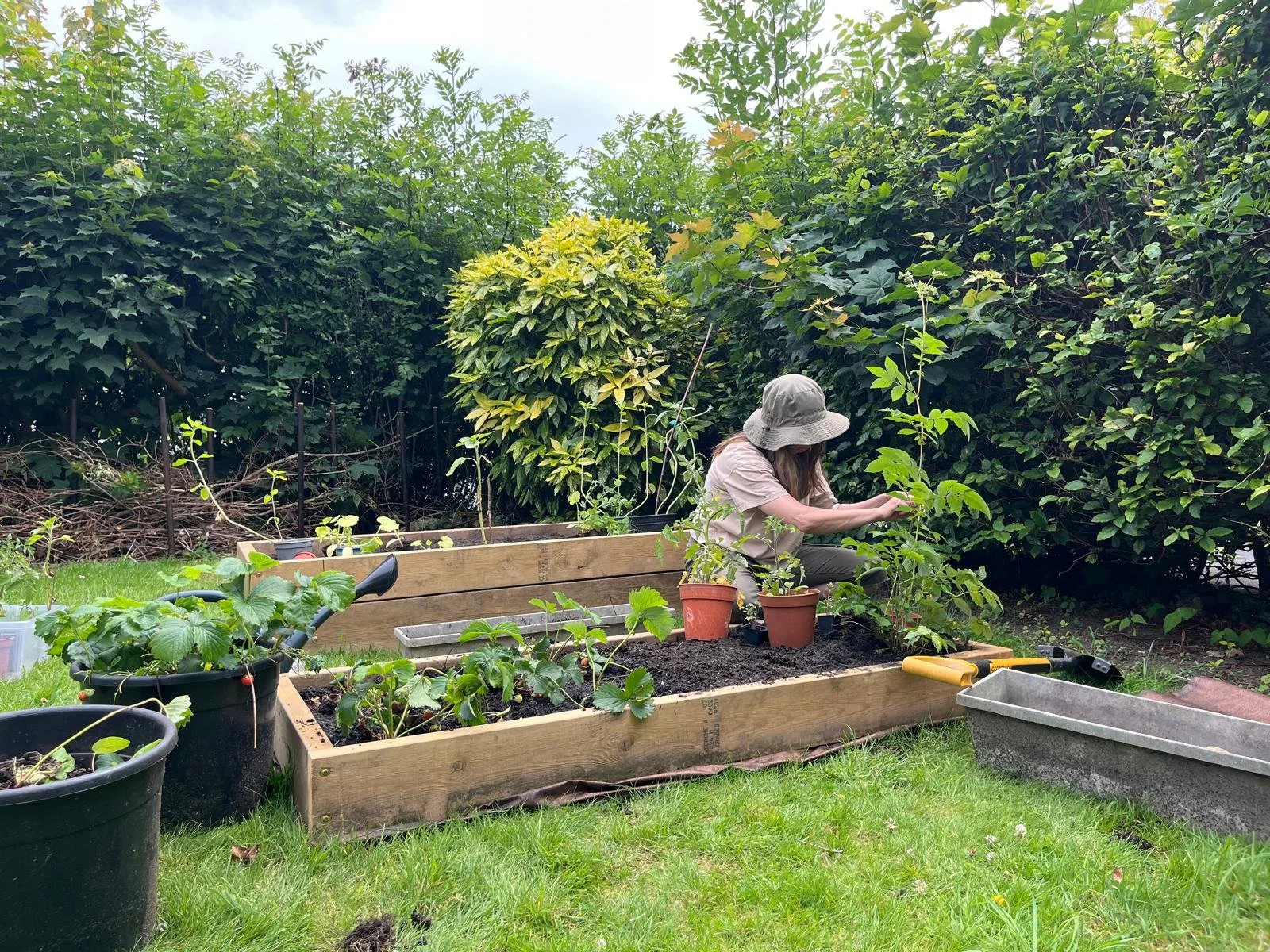 A women tends a garden