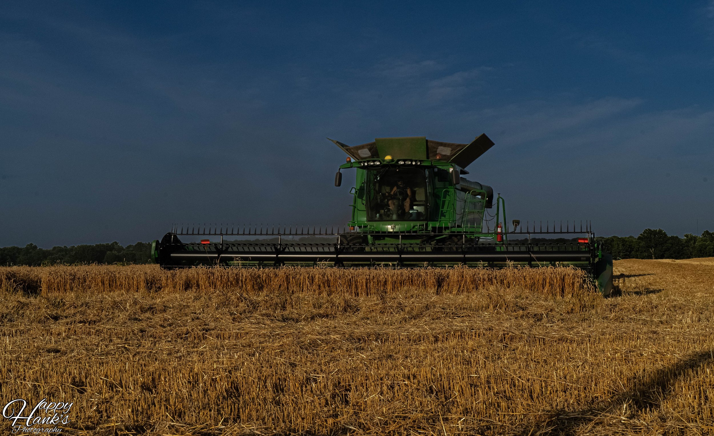HARVESTING WHEAT