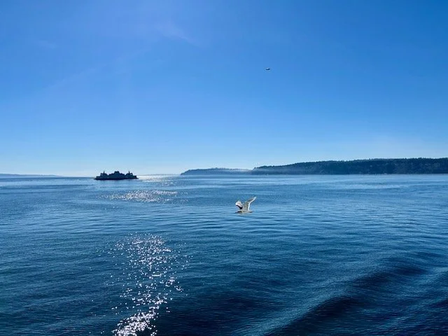 Ferry Ride.jpeg