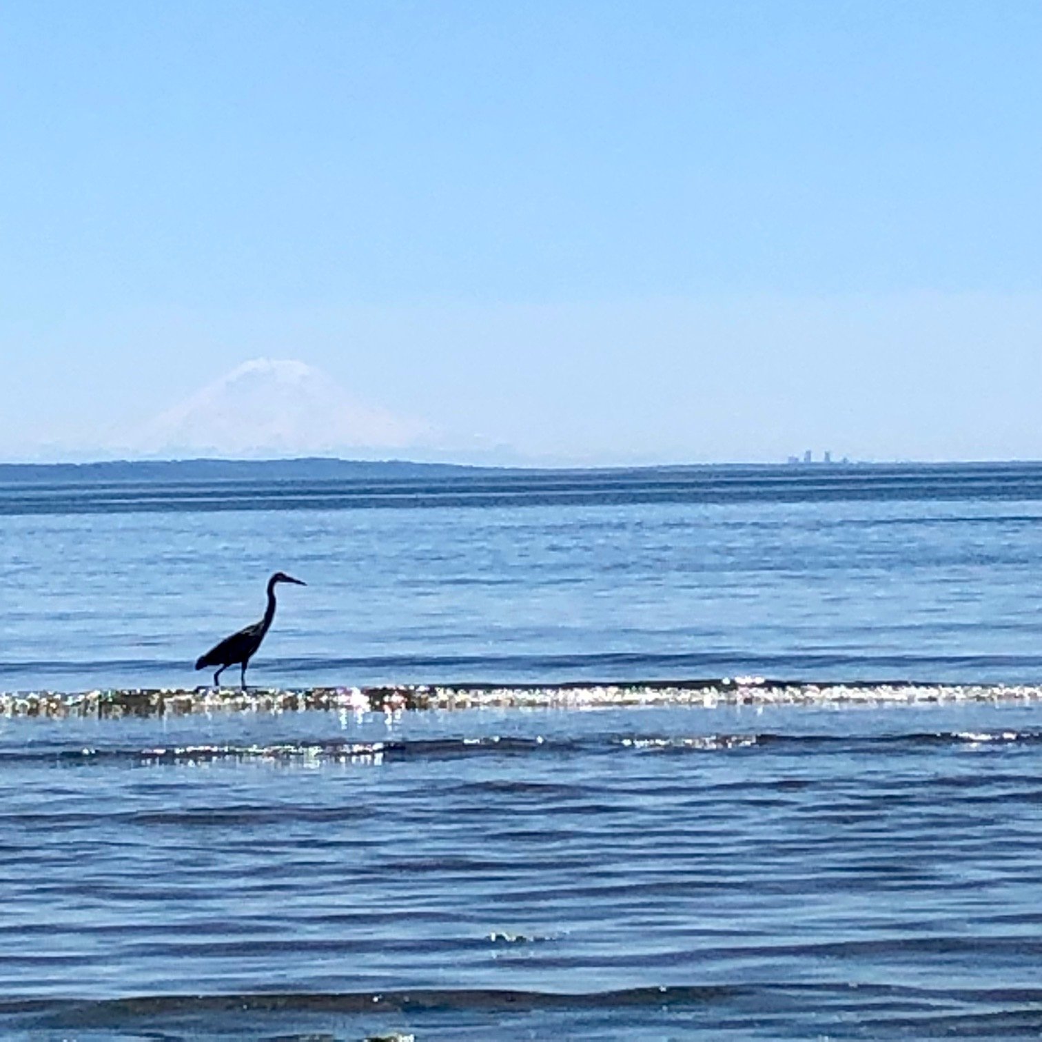 Double Bluff Beach.jpg