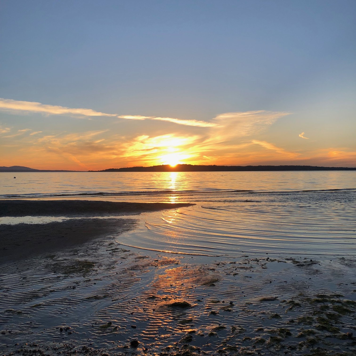 Maxwellton Sunset.jpg