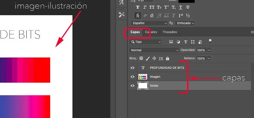 formatos de imagen