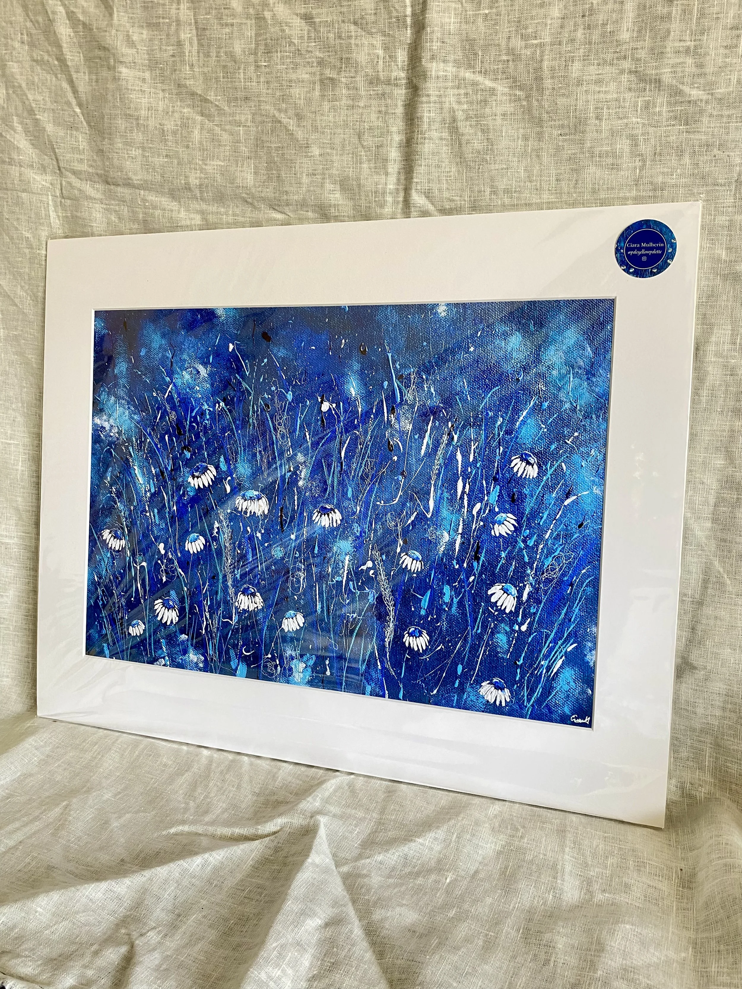 Blue Eyed Daisies 16x20" Mounted Print