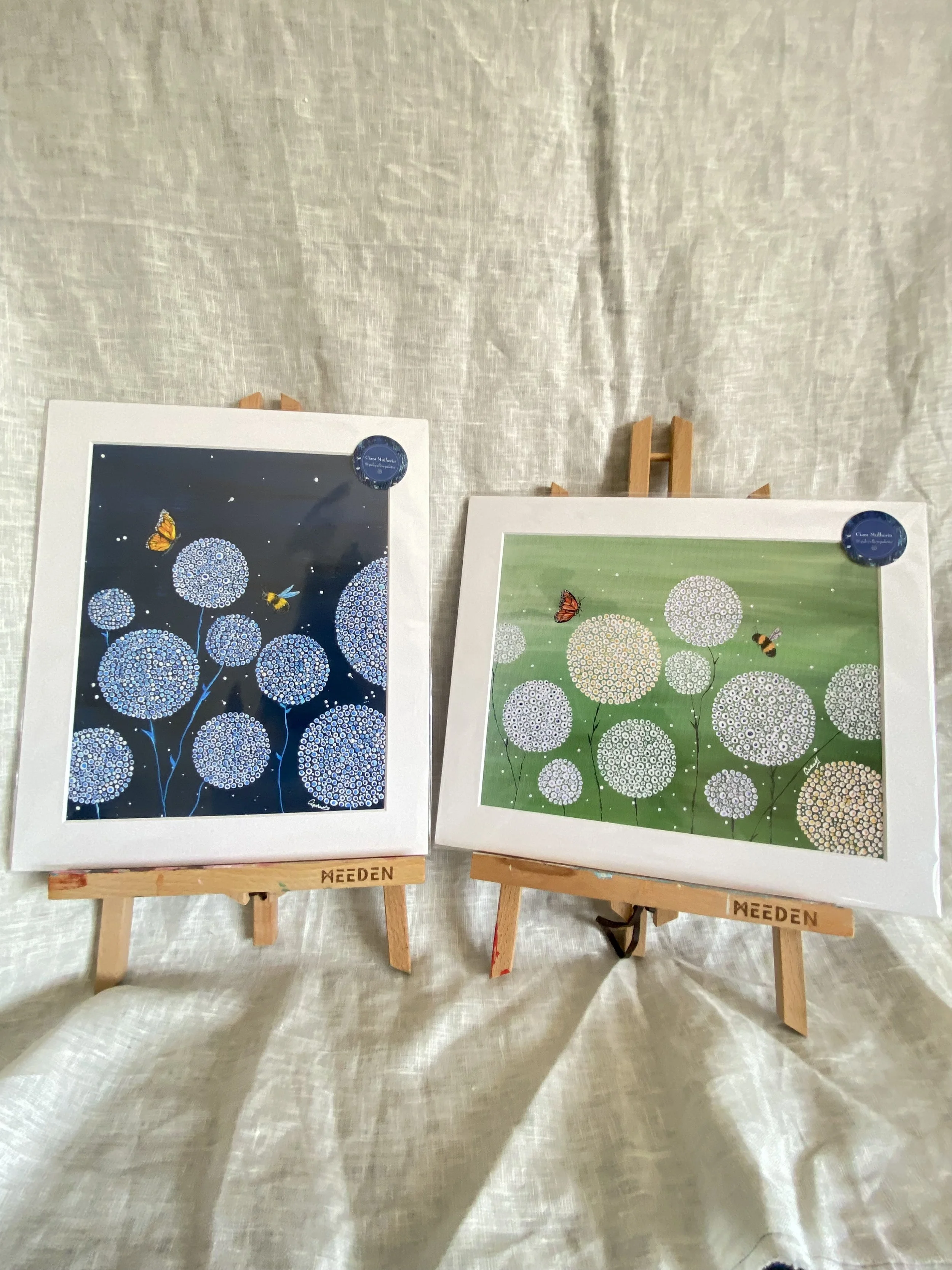 dandies bundle 10x12s.jpeg