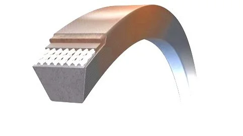 Cutaway view of a toothed V-belt, showing internal structure and teeth configuration.