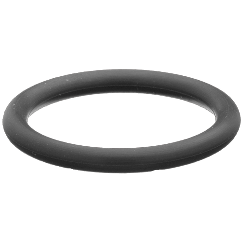 Neoprene O-Ring