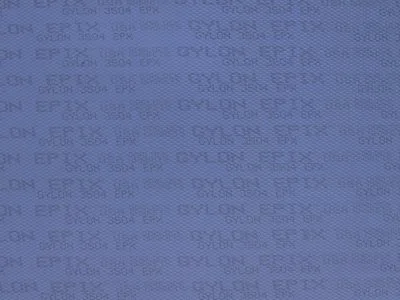 Close-up of a computer screen displaying text in a faint, blue hue.