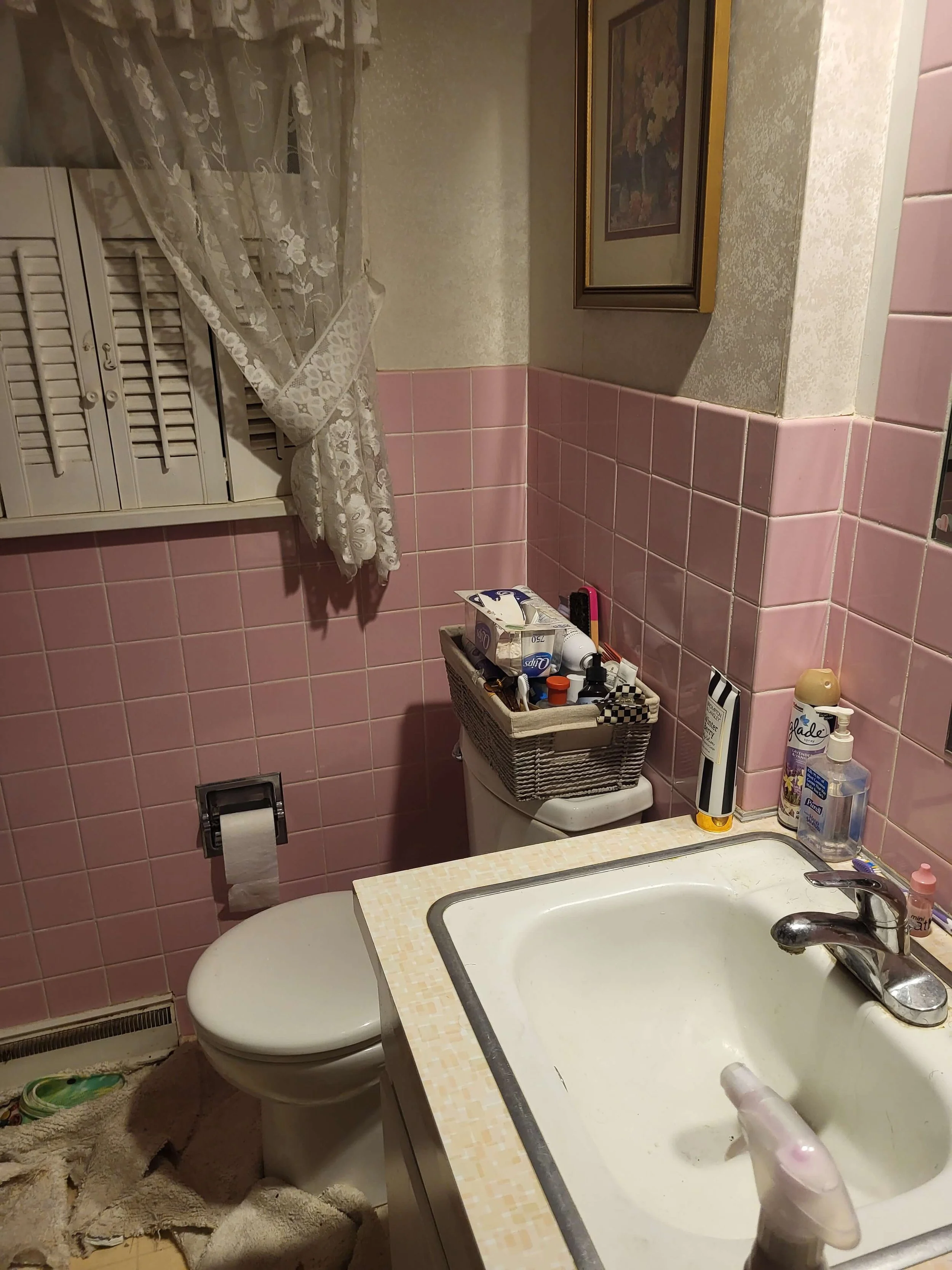 Outdated Bathroom Before Demolition