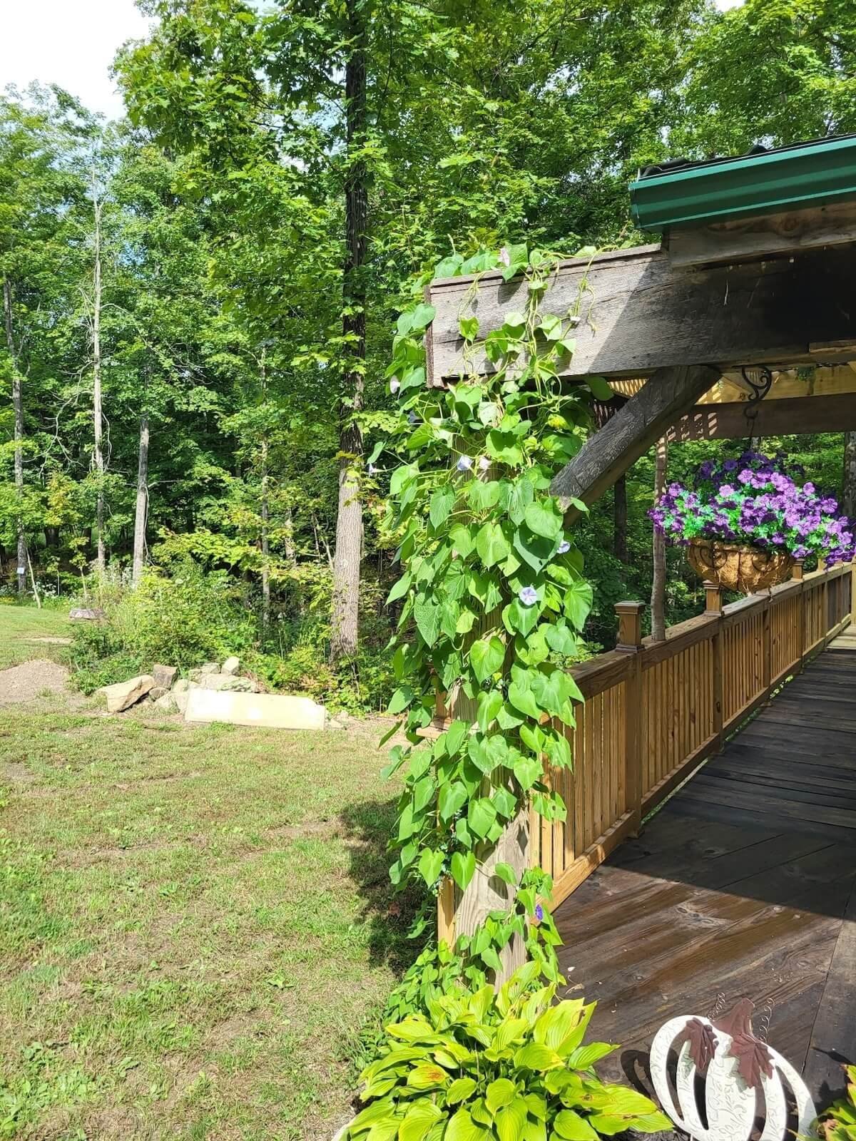DLR Construction century old vintage barn siding deck integration project details.