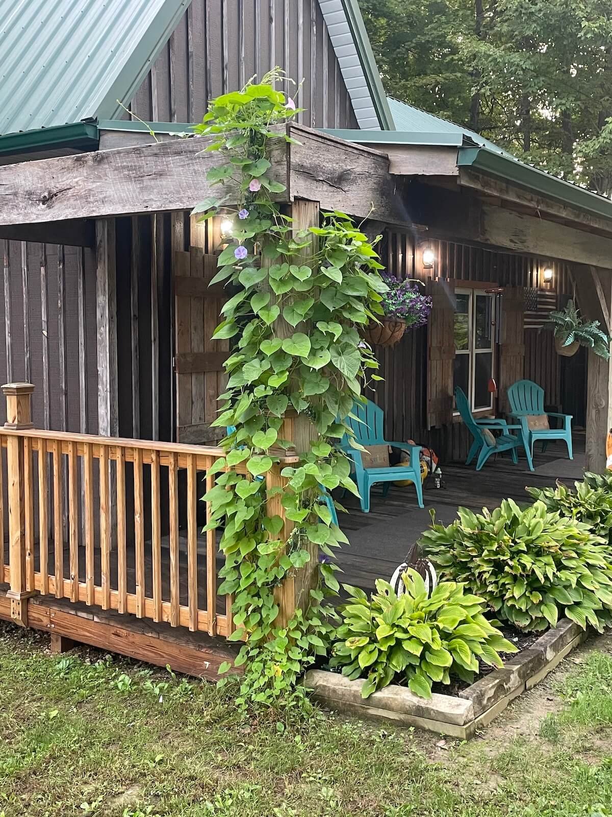 Heavy timber beam framing deck addition with morning glory vines in Kent Ohio.