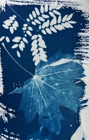 Cyanotype Printing Saturday May 2nd  10-4